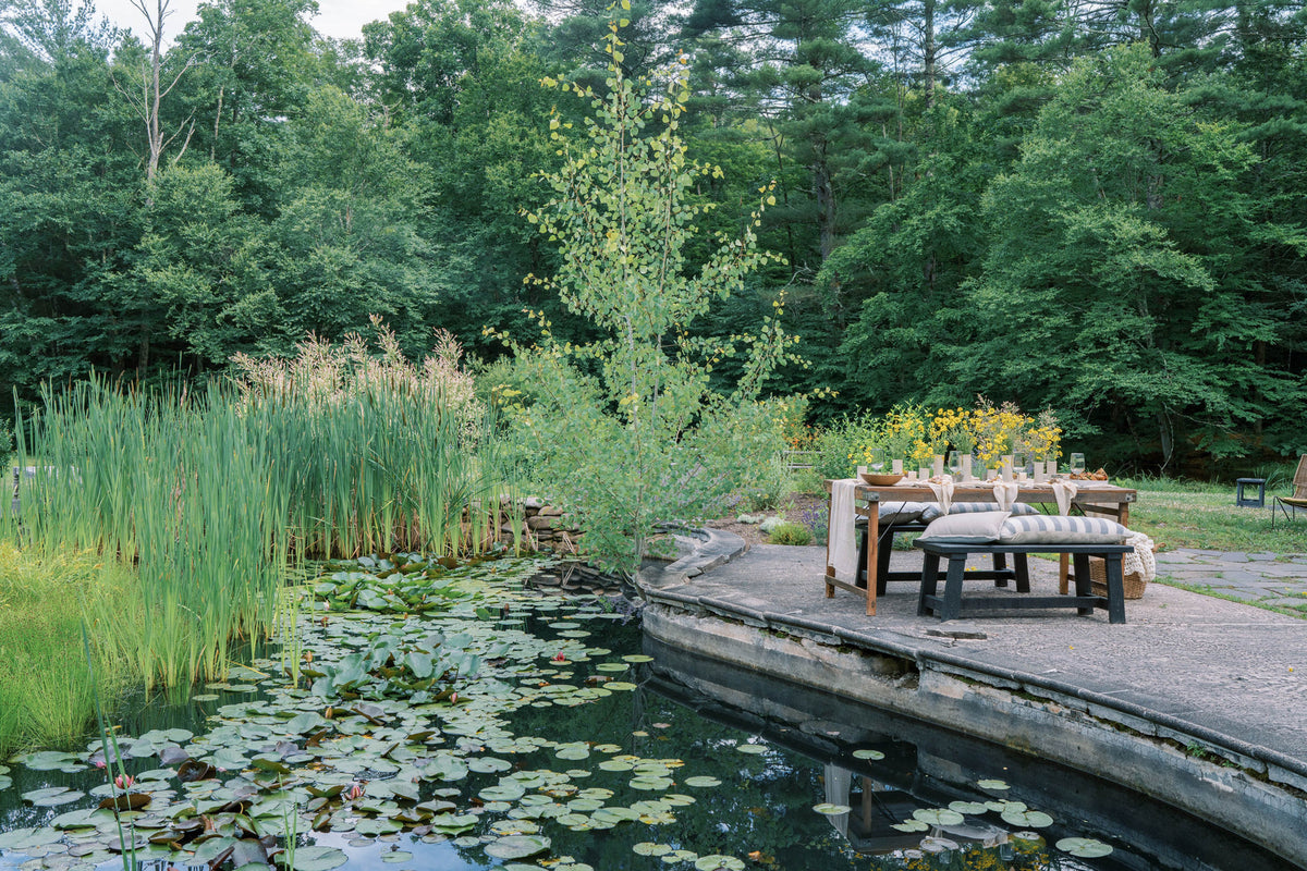 Table In Forest NATURAL TABLES, Nature-Inspired Tablescapes for Memorable Gatherings ...