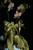 Orchid flowers wrapped in Chartreuse green ribbons with a dark background