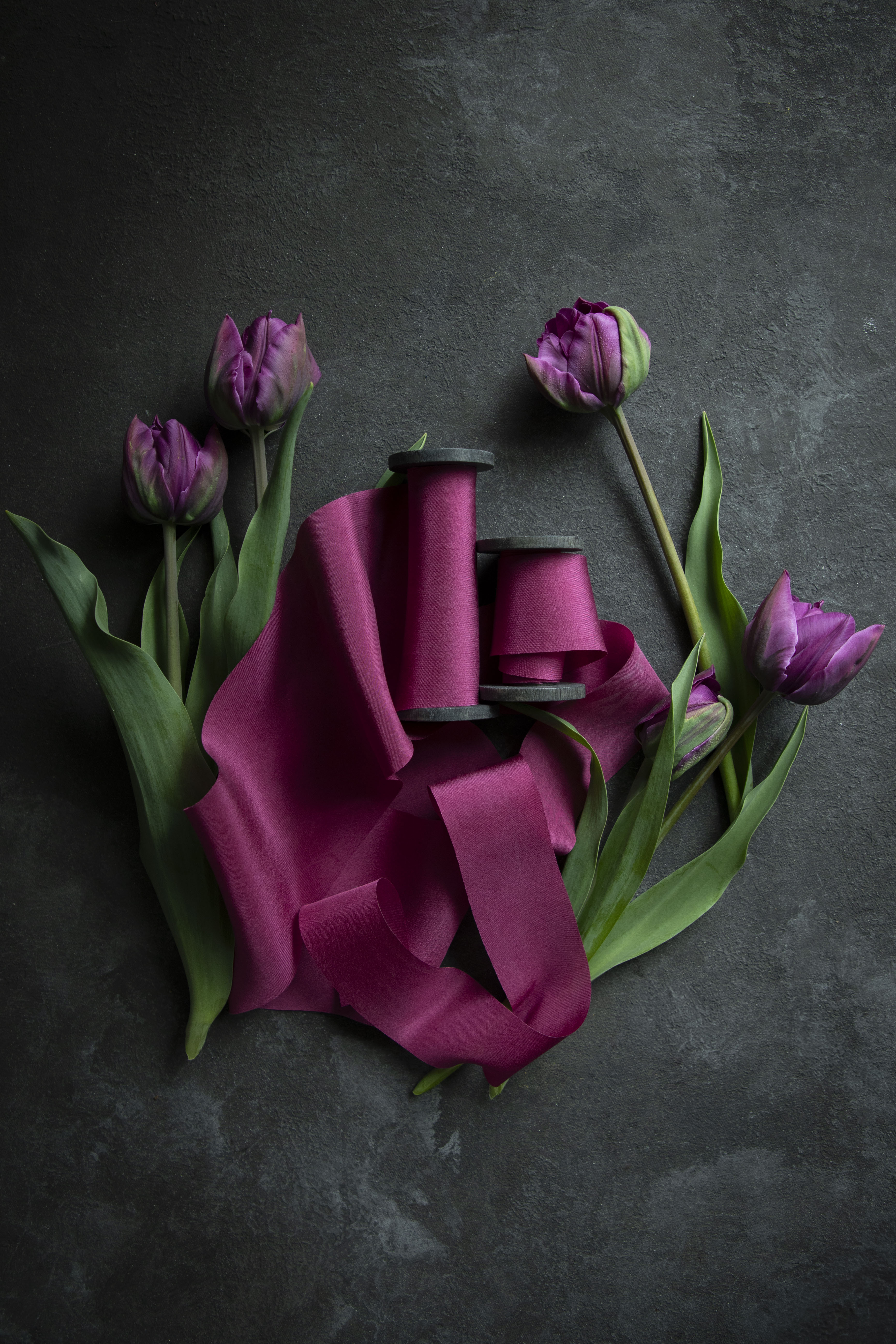 hot pink silk ribbon on a moody black background with purple tulip flowers