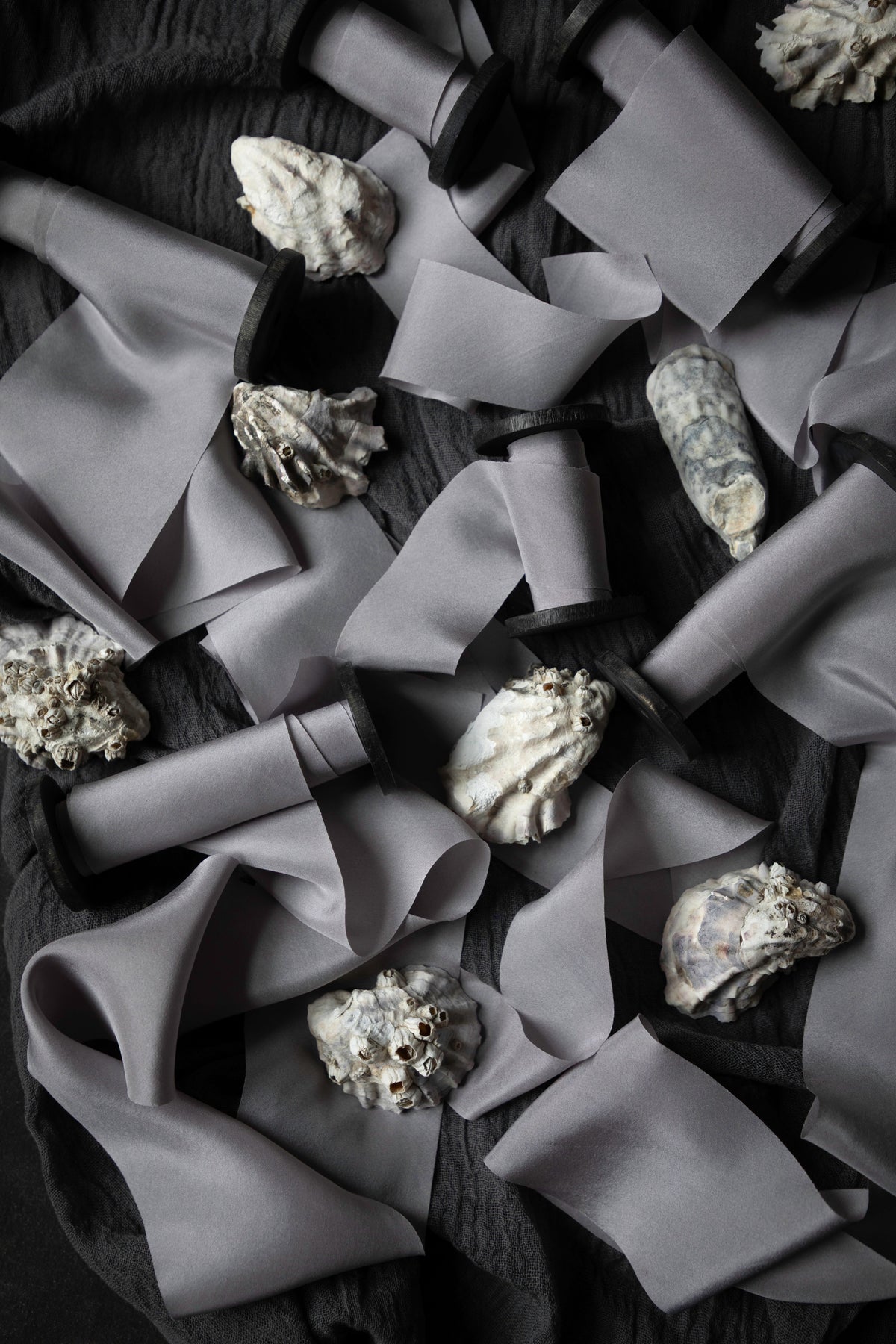 A styled flat-lay of gray silk ribbon scattered across a dark textured surface, interspersed with small white and gray seashells.