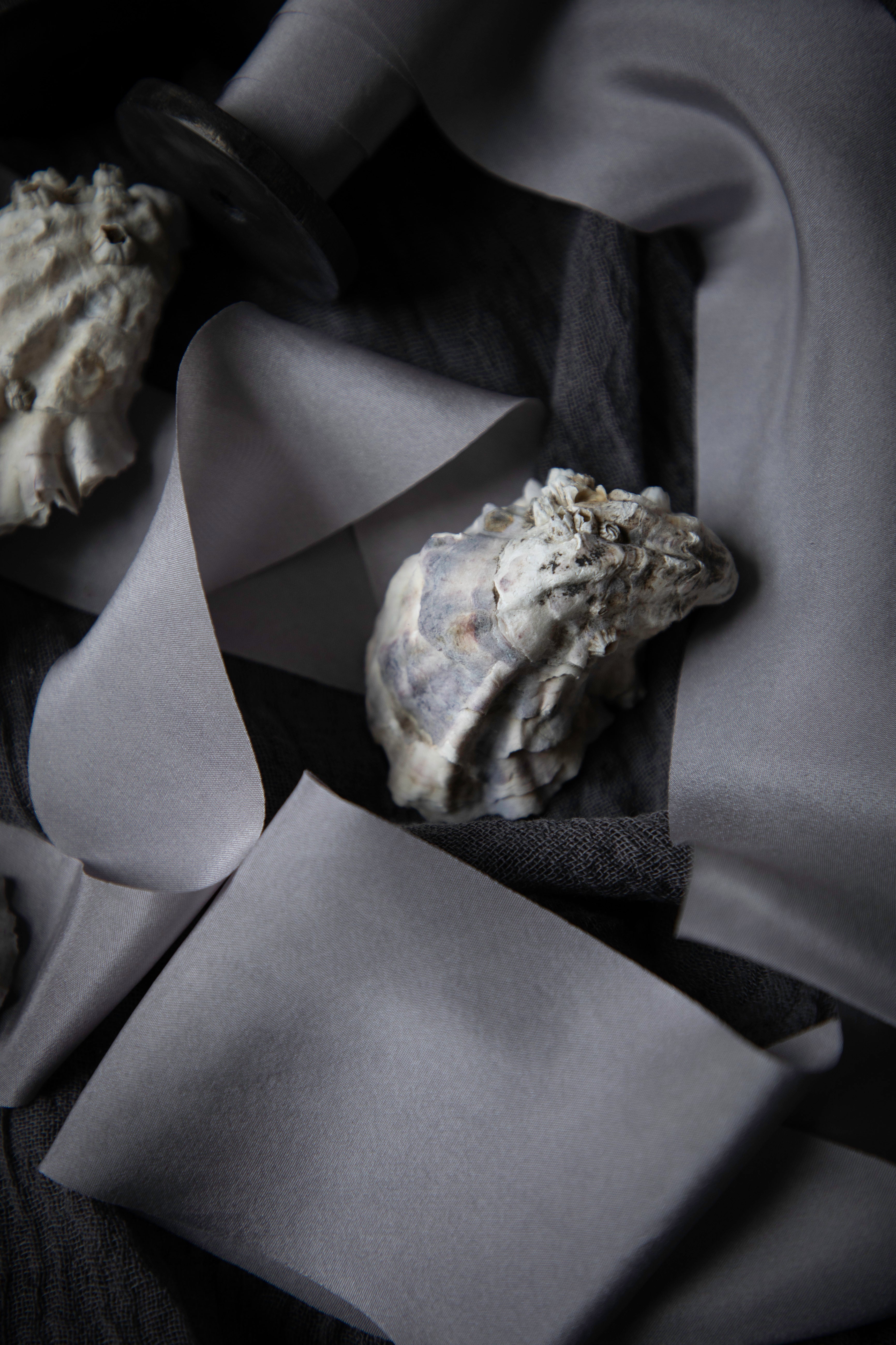 Two natural oyster shells resting on draped gray silk ribbon and dark charcoal cloth.