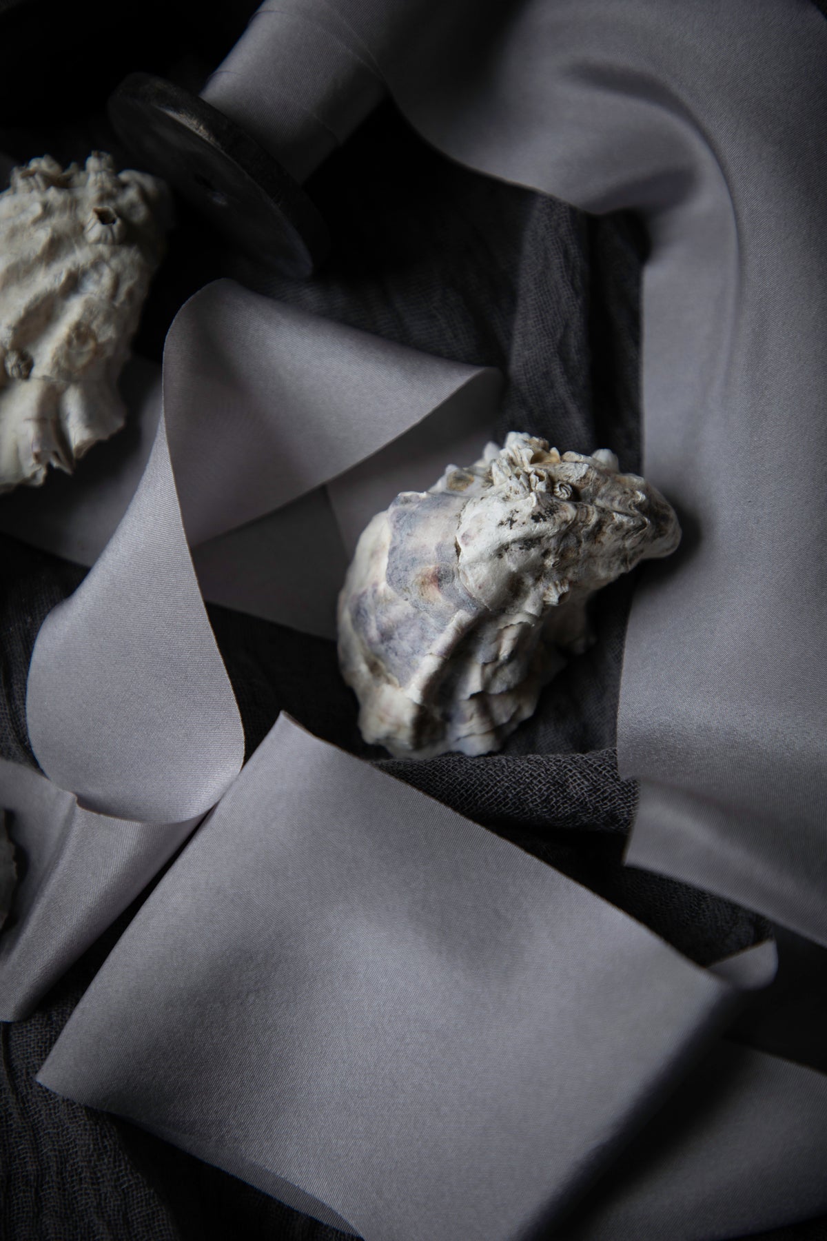 Two natural oyster shells resting on draped gray silk ribbon and dark charcoal cloth.