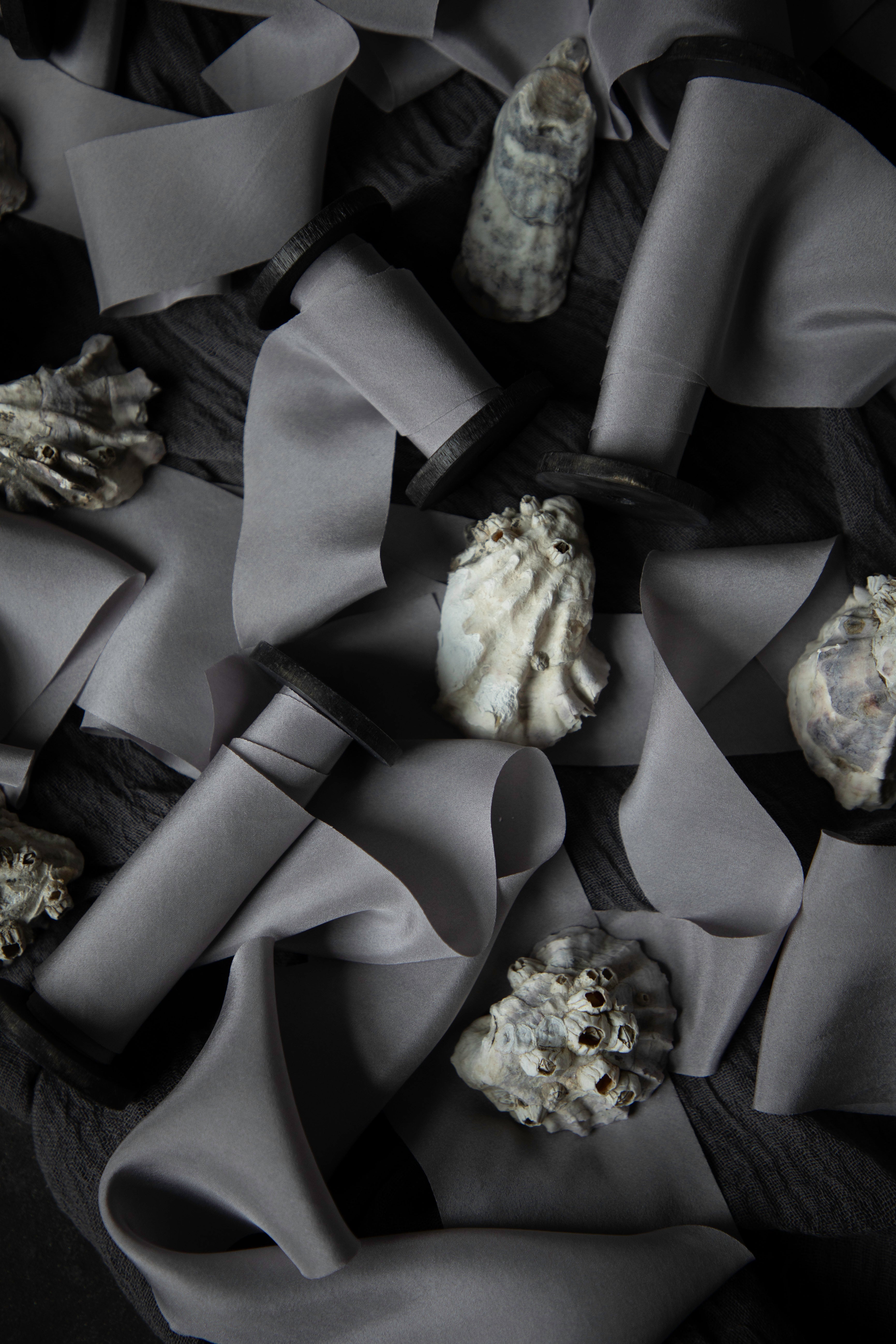 A styled flat-lay of gray silk ribbon on wood spools and several natural seashells scattered on a dark textured surface.