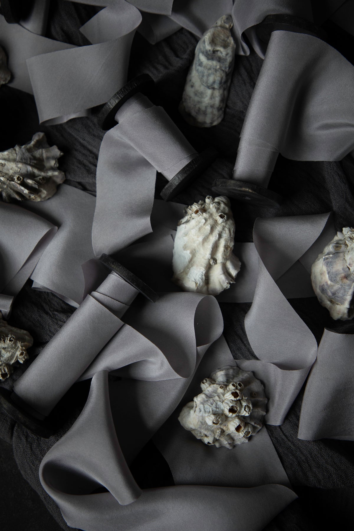 A styled flat-lay of gray silk ribbon on wood spools and several natural seashells scattered on a dark textured surface.