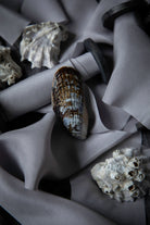 A close-up styled product shot showing a natural seashell resting on draped gray silk ribbon, with additional shell props around it.