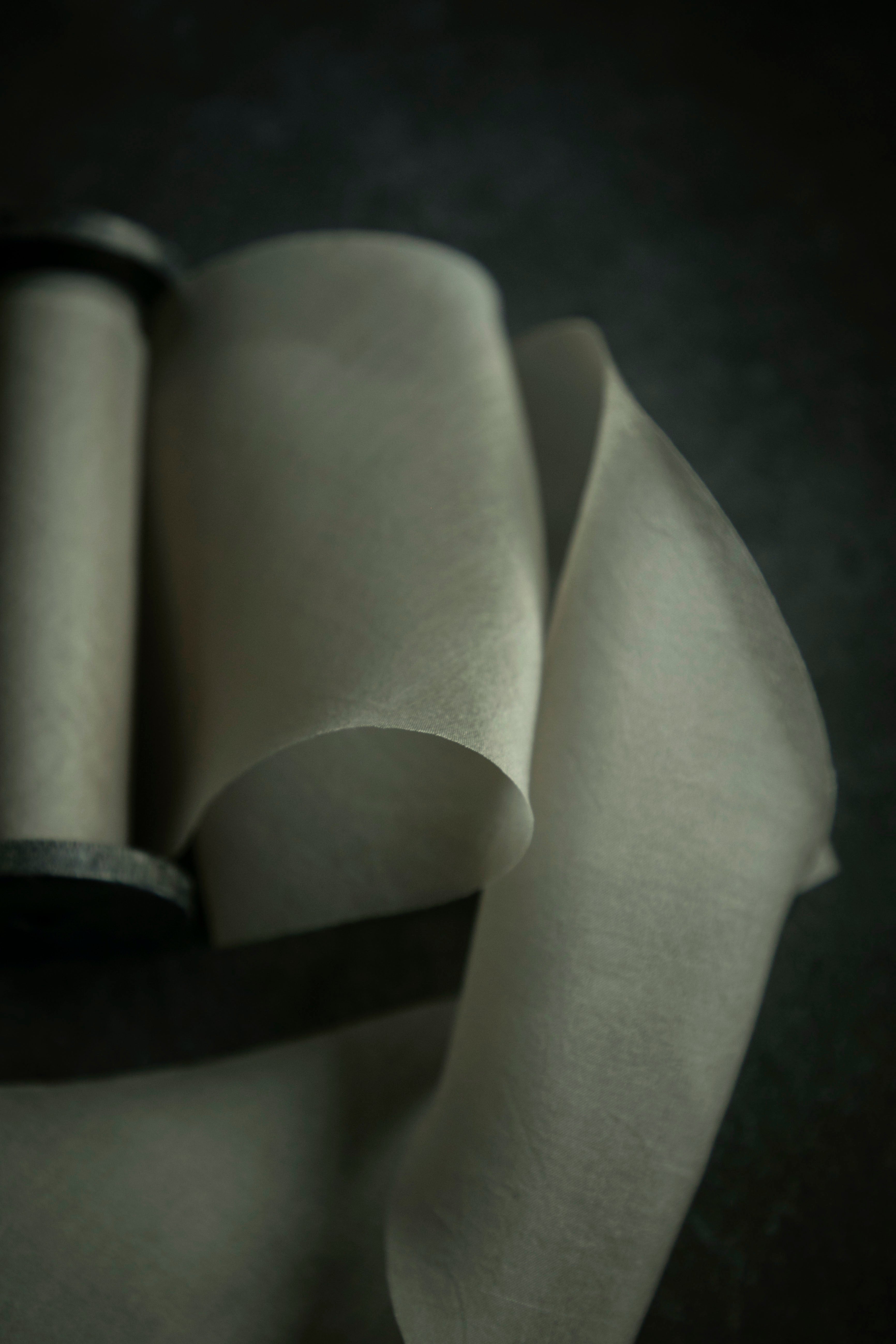 Champagne {Organza} Silk Ribbon – Silk & Willow