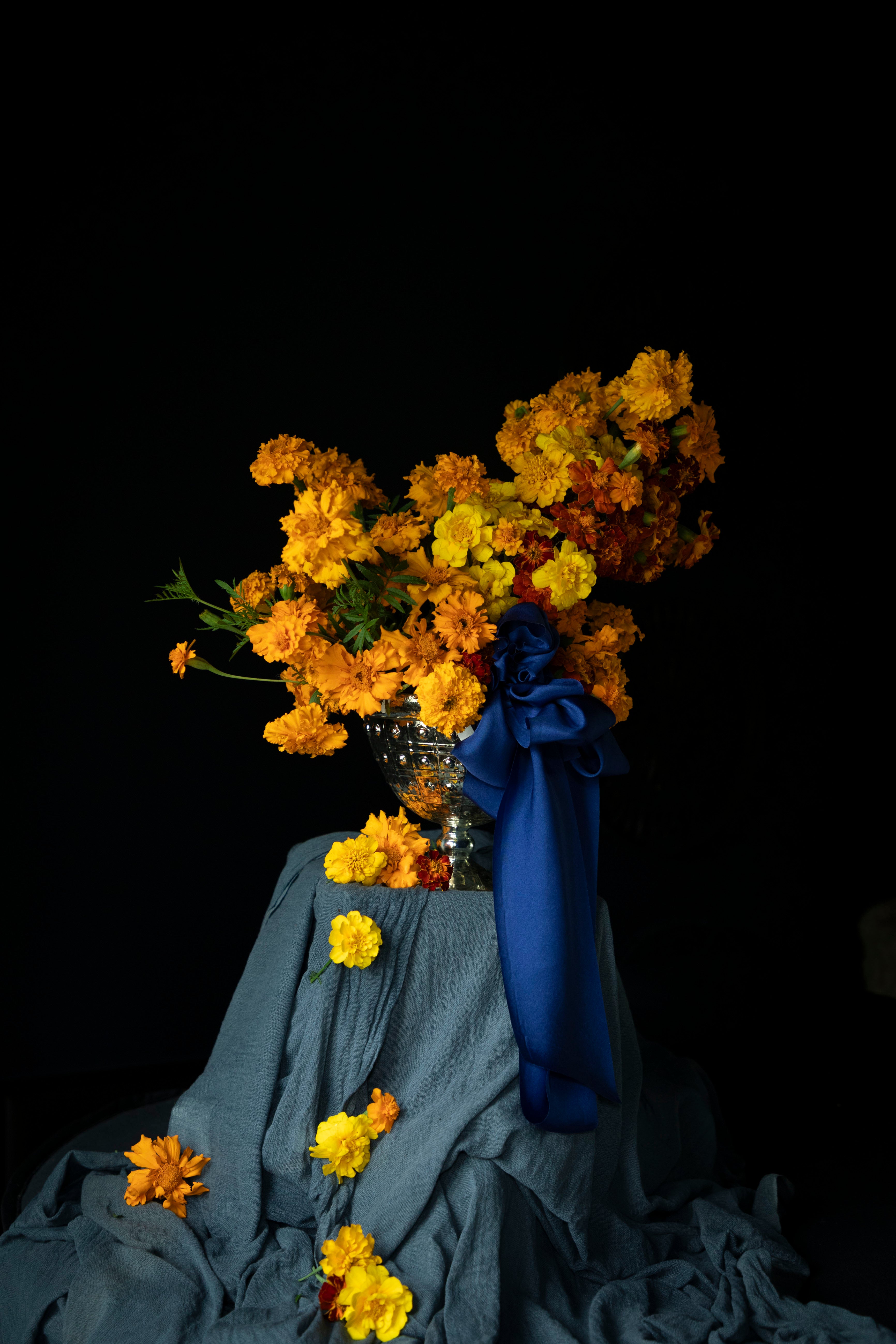 A dramatic still life of a large bouquet of yellow and orange marigolds in a silver vase, draped with a Silk & Willow Cobalt blue hand-dyed silk ribbon and set against a solid black background.
