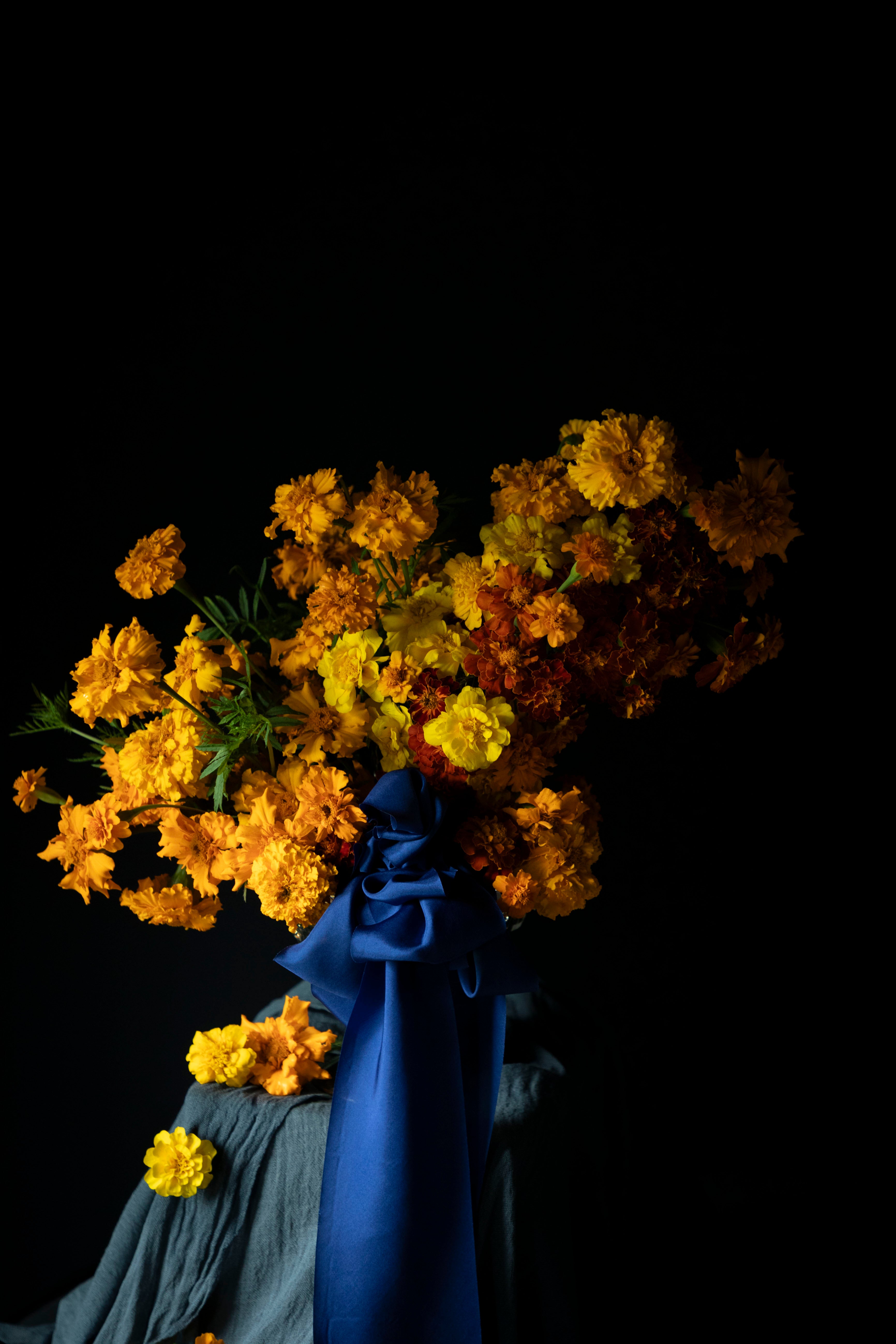 A dramatic still life of a large bouquet of yellow and orange marigolds in a silver vase, draped with a Silk & Willow Cobalt blue hand-dyed silk ribbon and set against a solid black background.