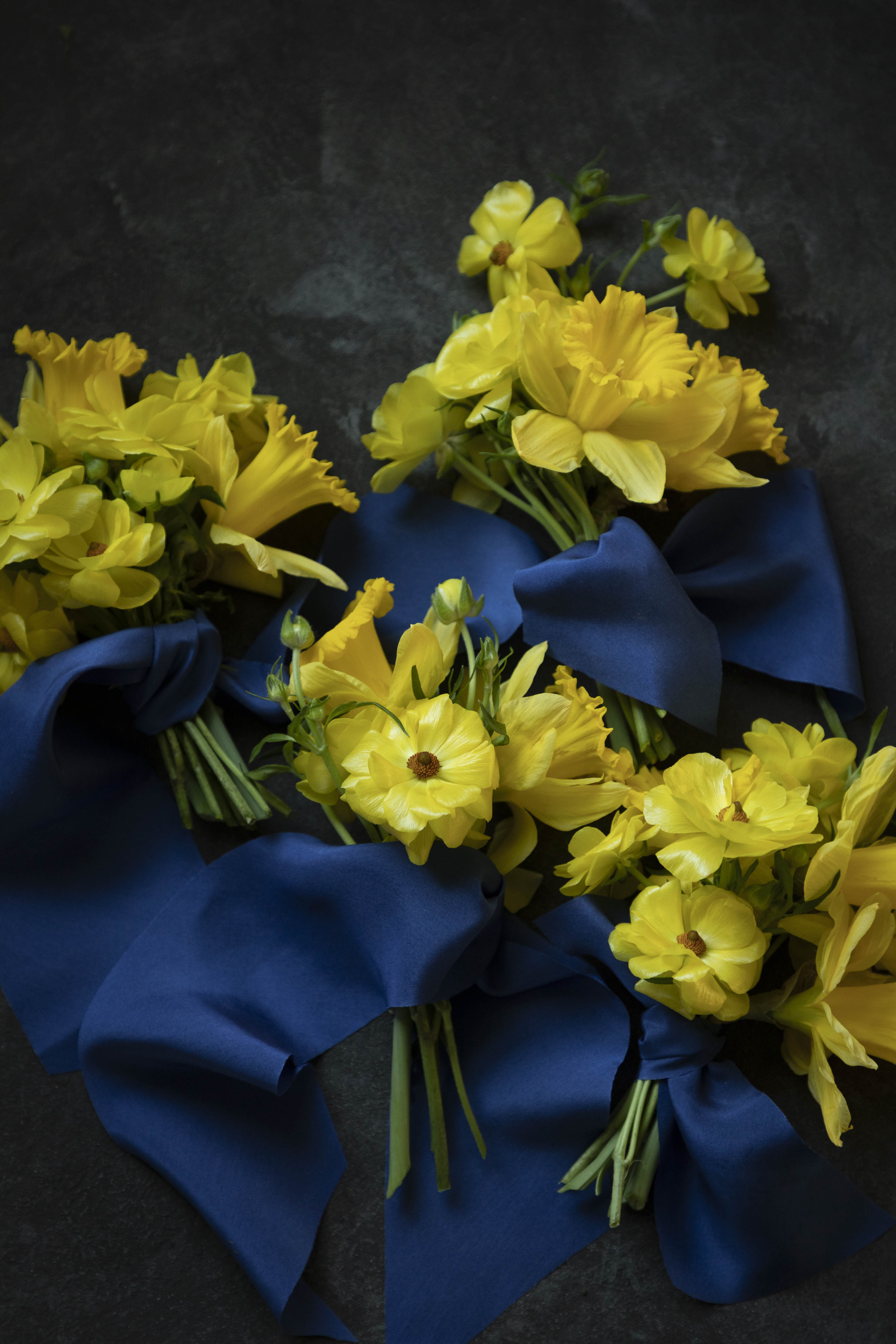 Yellow flowers with cobalt blue ribbons on a dark background