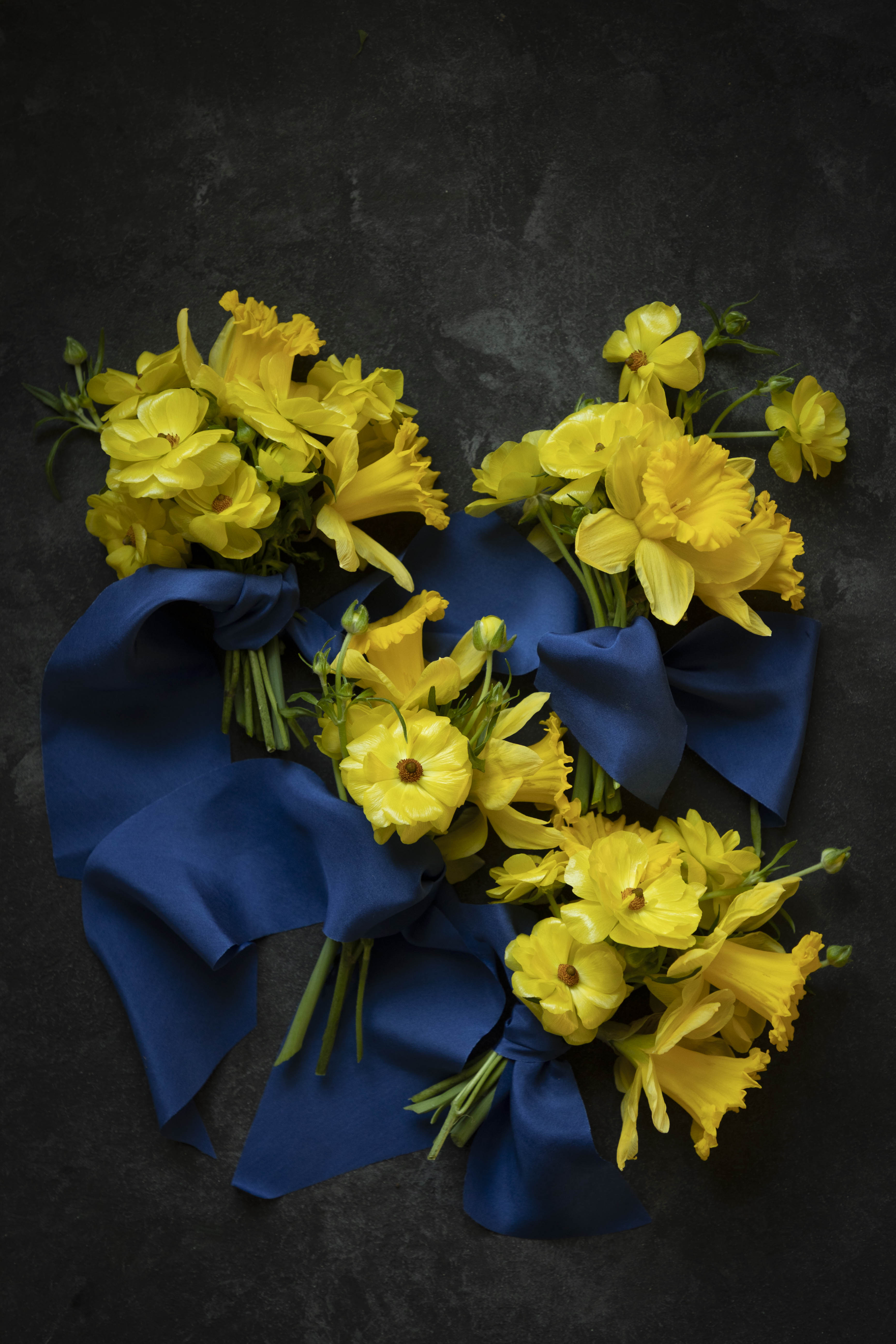 Yellow flowers with blue ribbons on a dark background