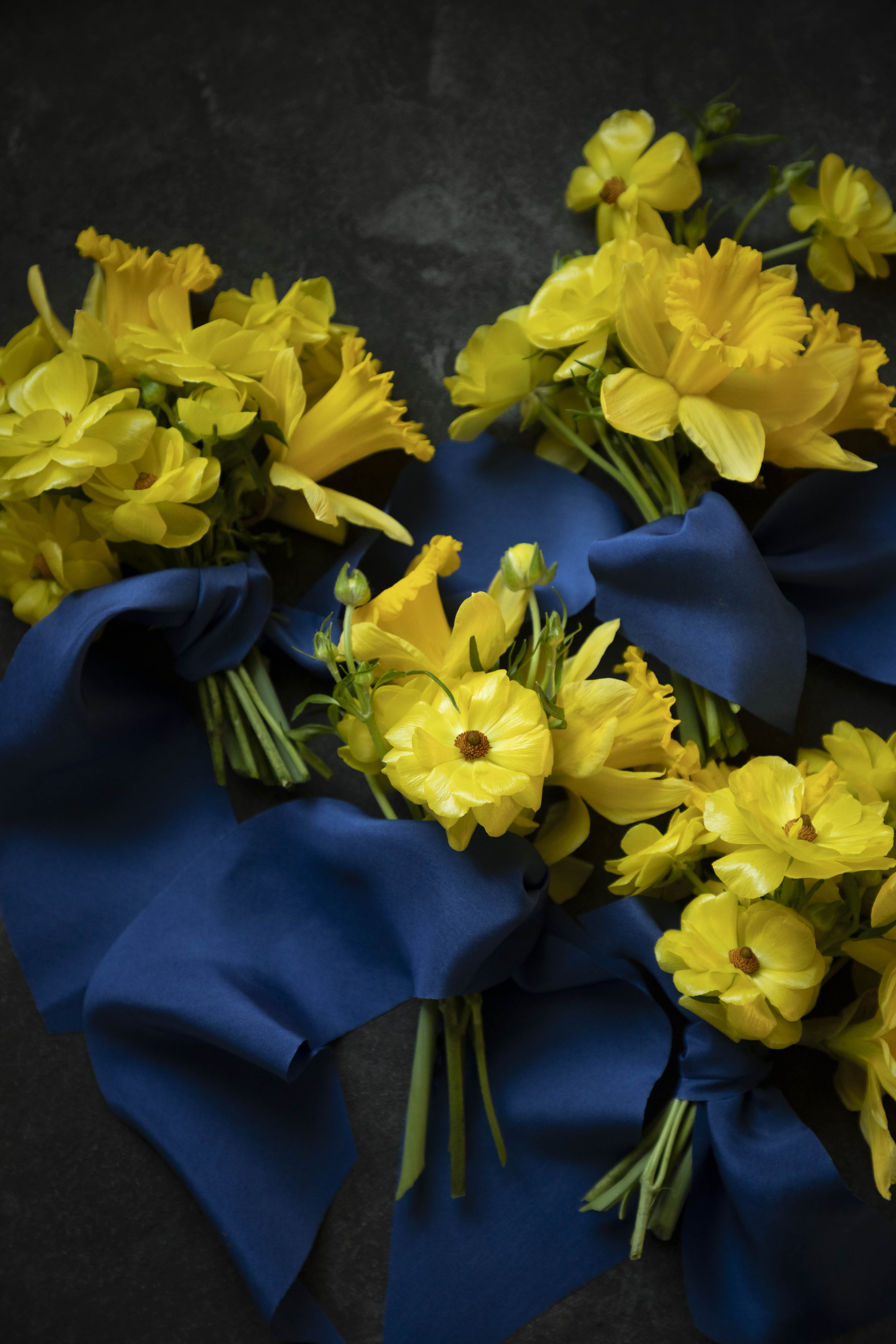 Yellow flowers with blue ribbons on a dark background
