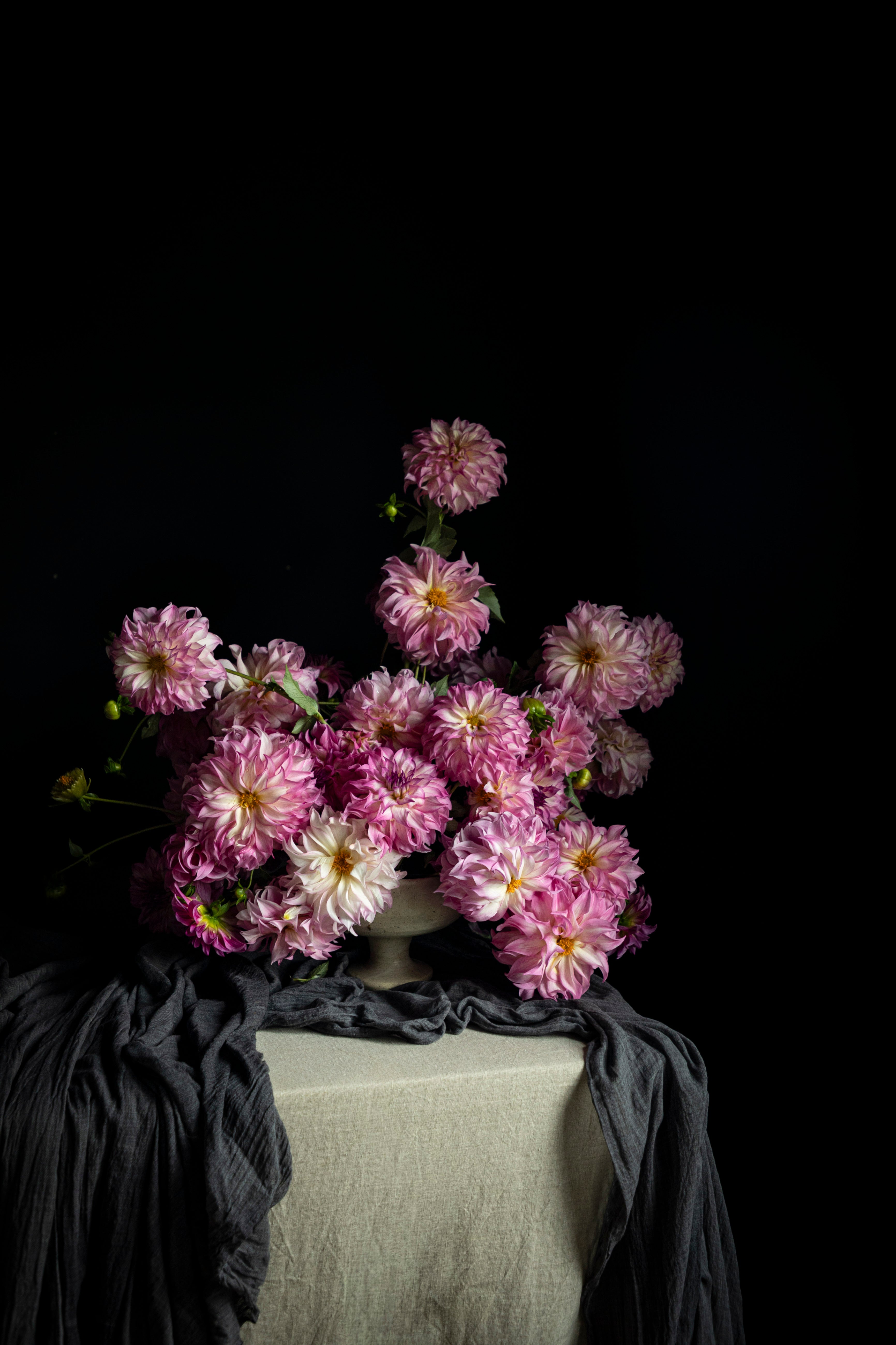 A bouquet of pink and white dahlia flowers arranged in a ceramic vase on a draped with dark gray textiles on a table against a solid black background.