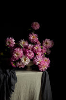 A still life arrangement of pink and white dahlia flowers in a ceramic vase on a draped table against a solid black background.