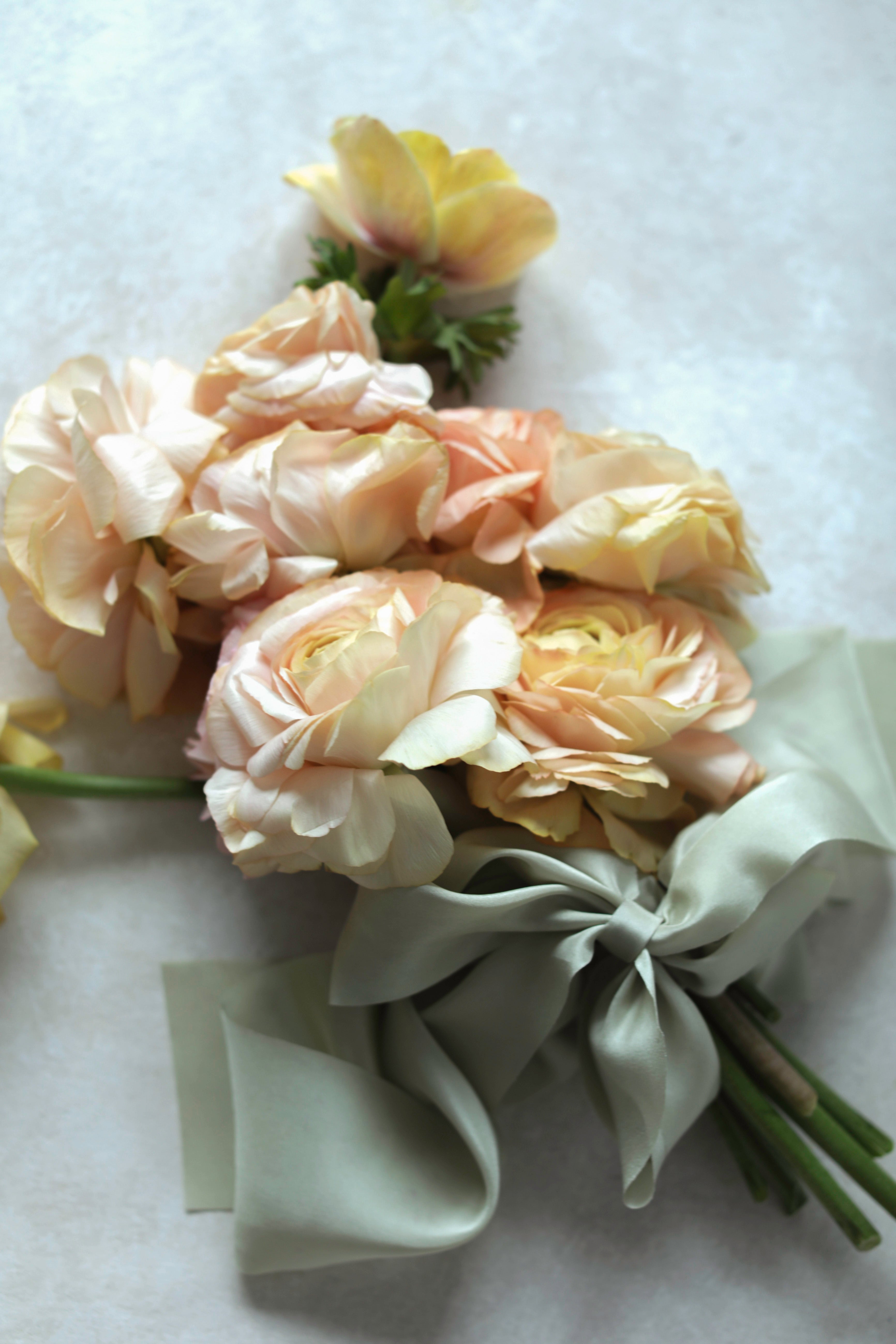 A bouquet of peach and cream ranunculus flowers tied with a pale sage green ribbon, resting on a light gray textured surface.