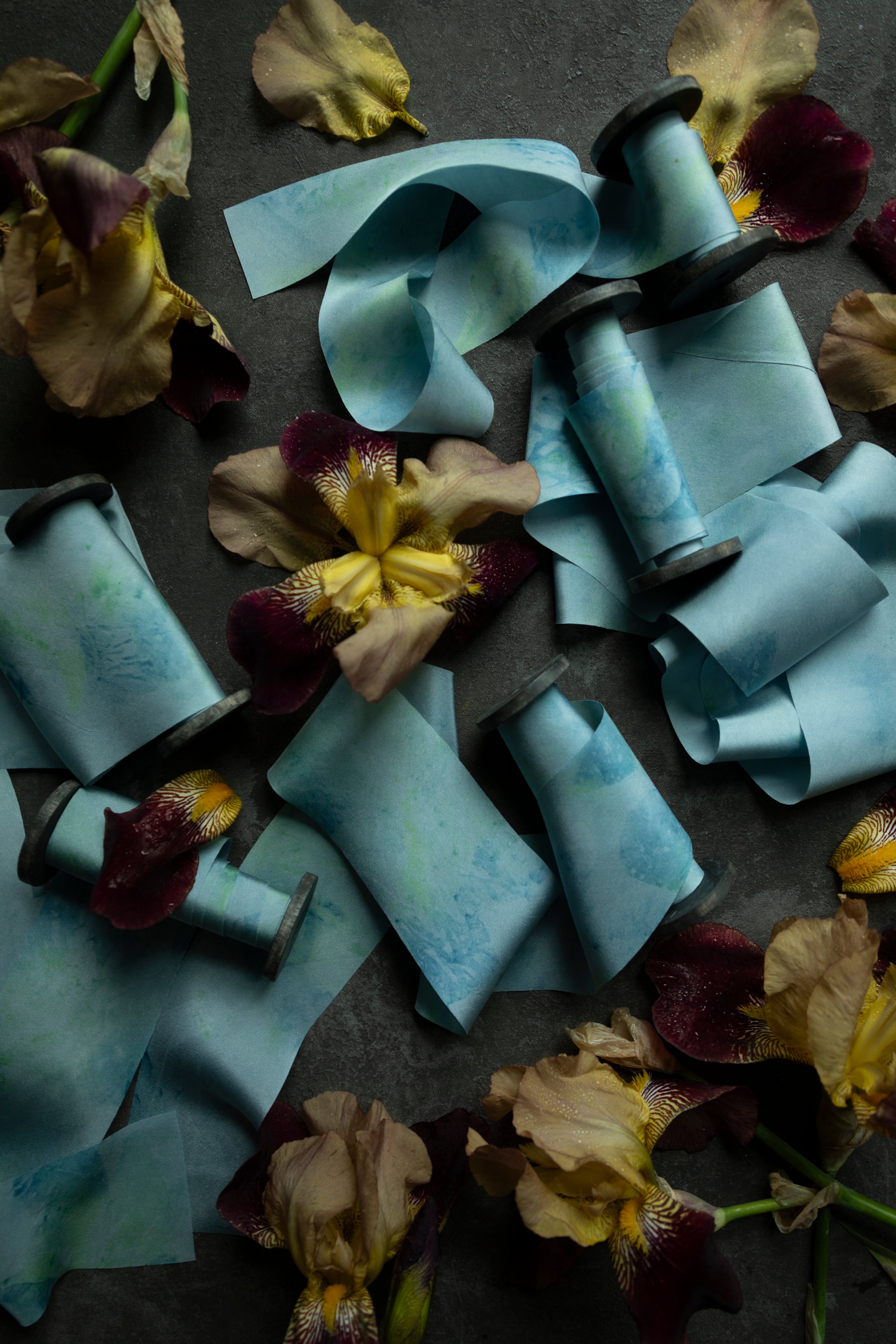 Blue ribbons and dried flowers on a dark surface