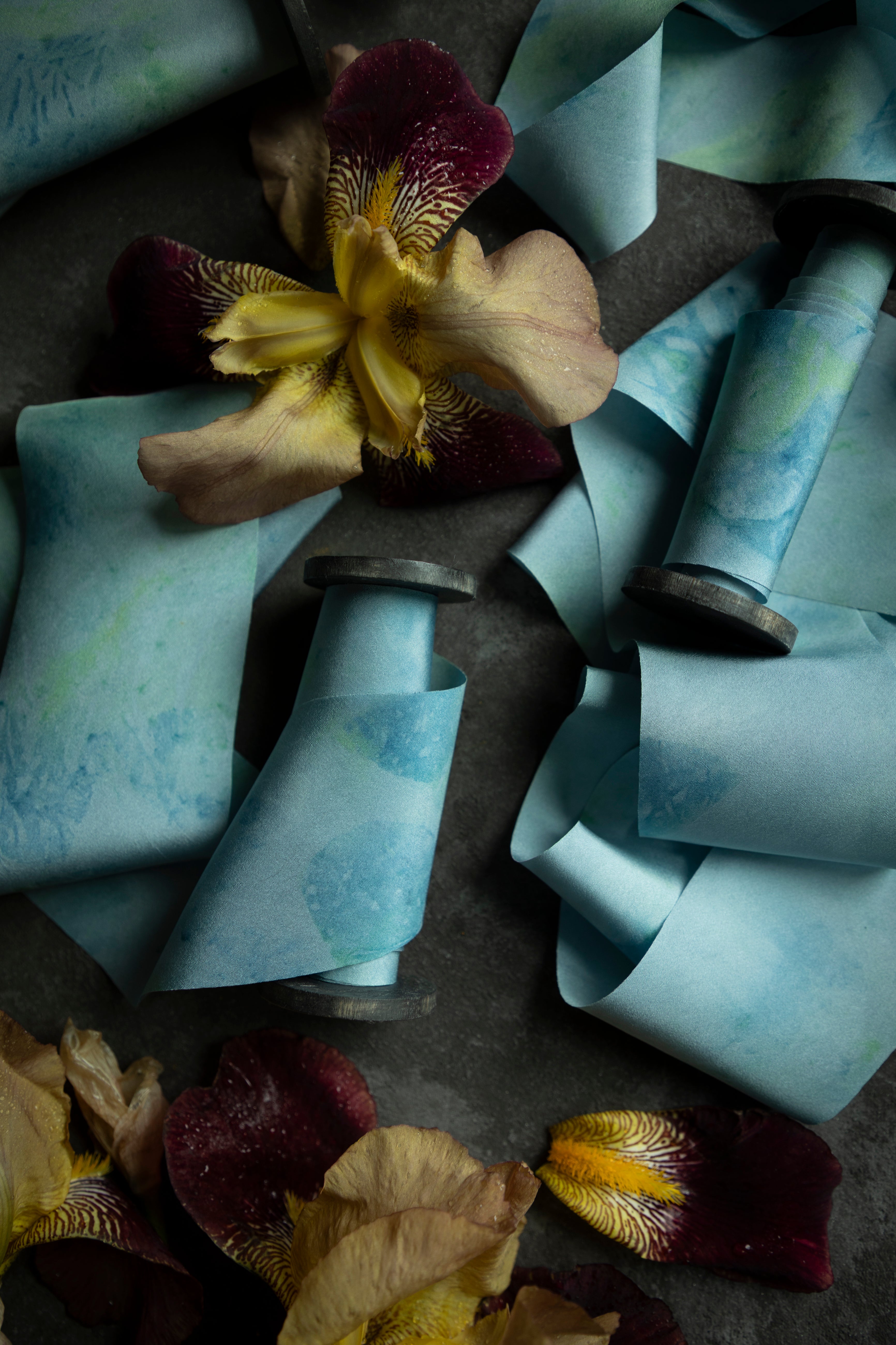 Dried flower on a textured surface with blue paper