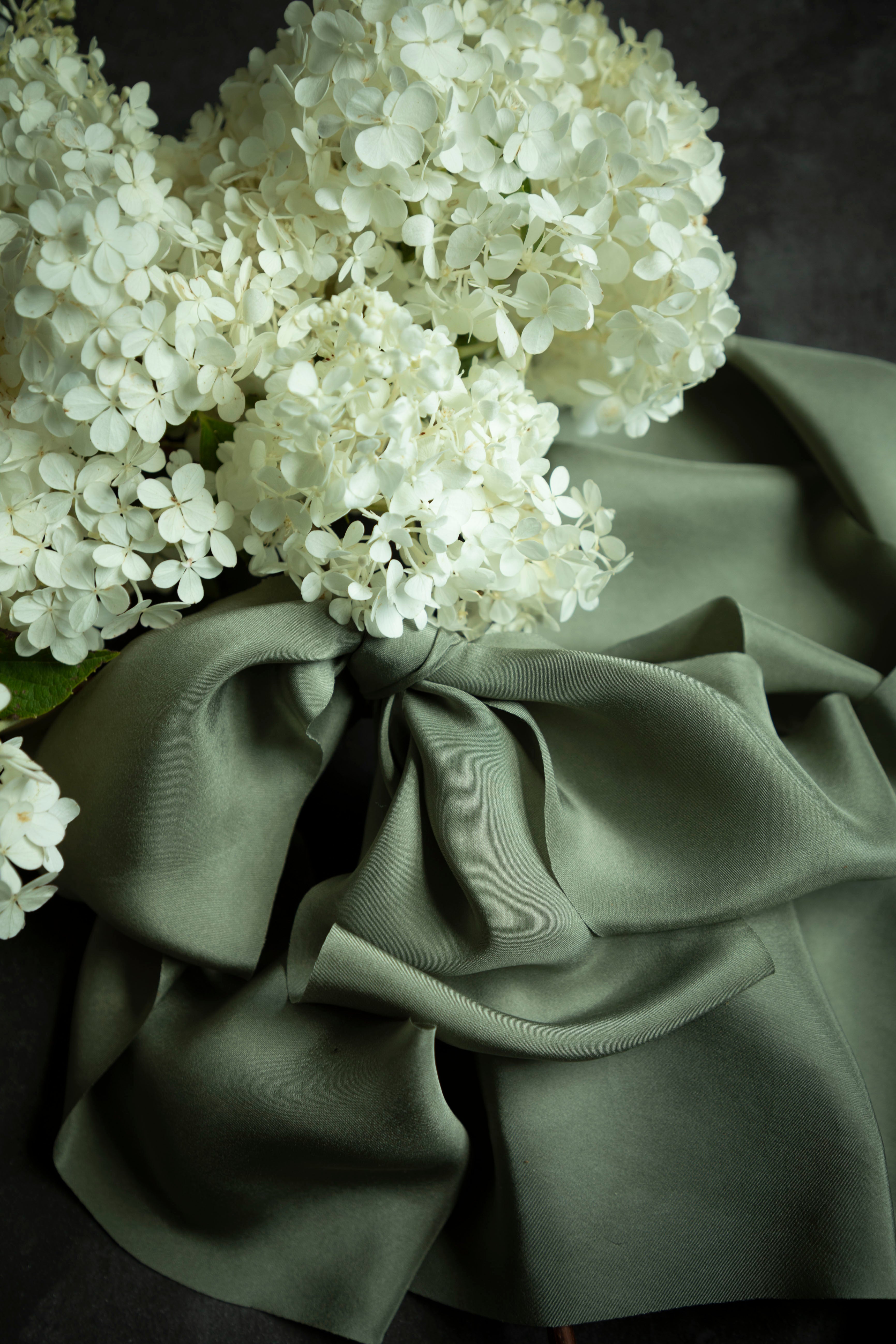 White flowers with a large green bow on a dark background
