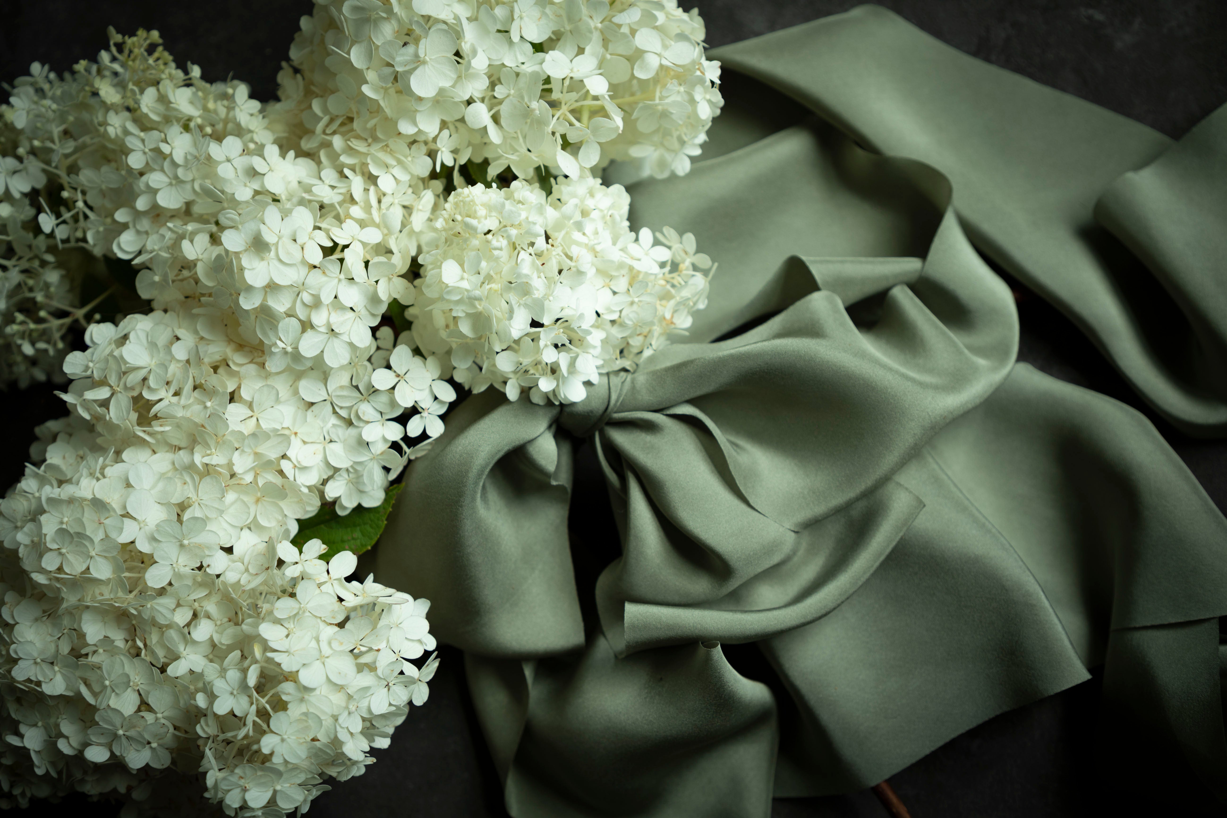 White flowers with a green satin ribbon on a dark background