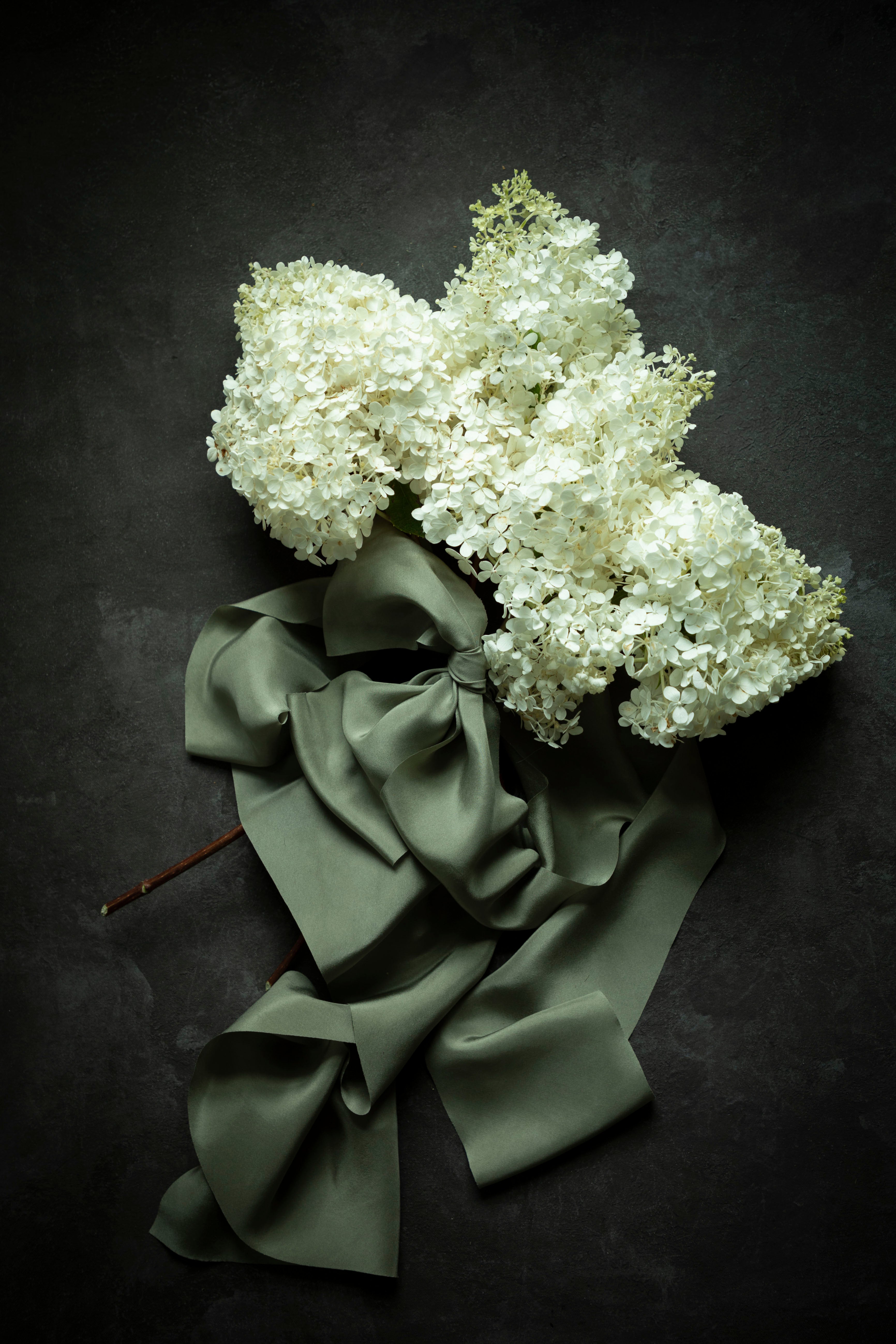 White flowers with a green ribbon on a dark background