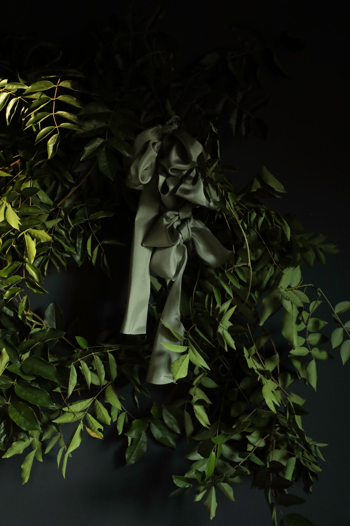 A dark olive green satin ribbon tied in a large bow and draped among green leaves against a very dark background.