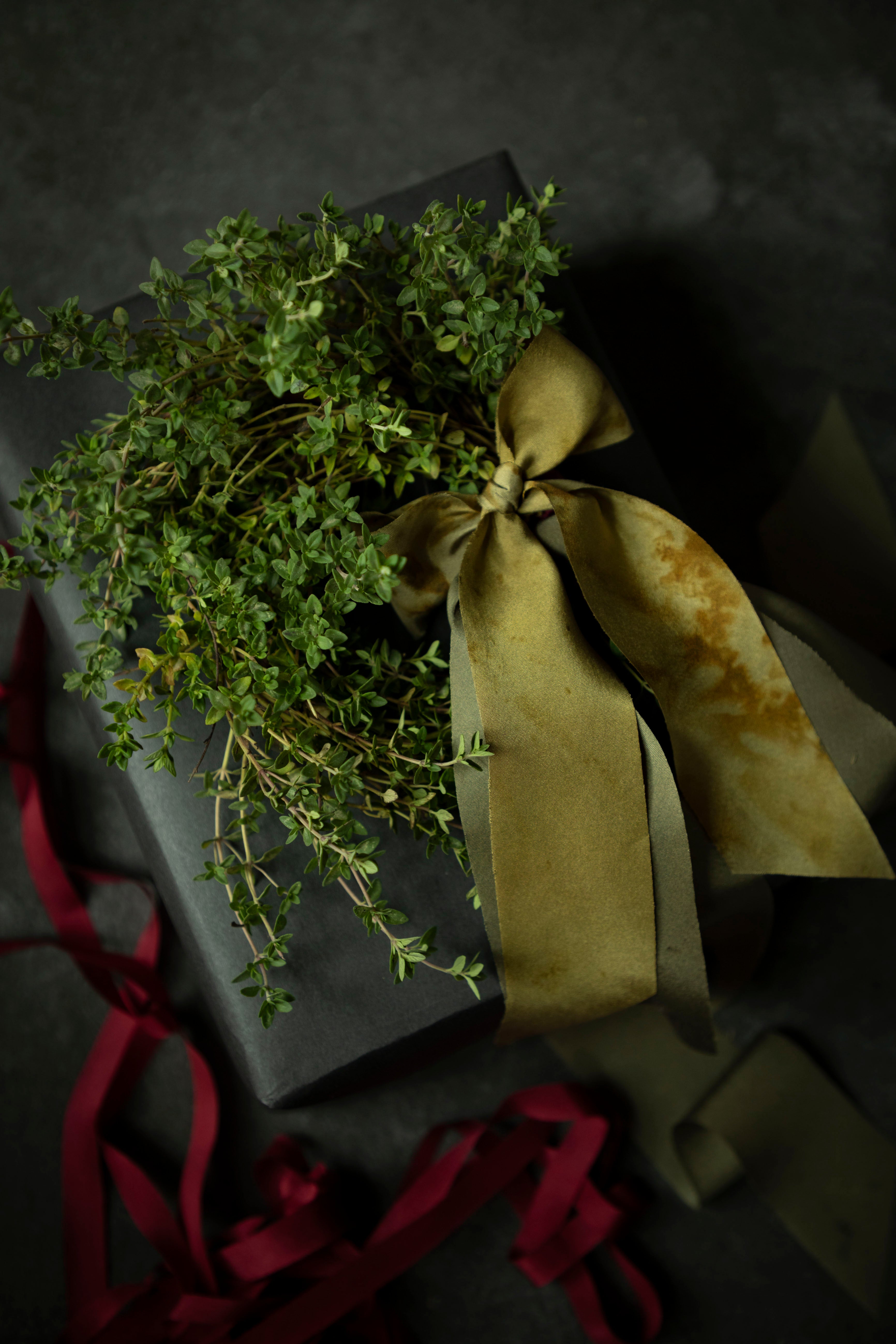 Gift wrapped in black paper with a green bow on a dark background
