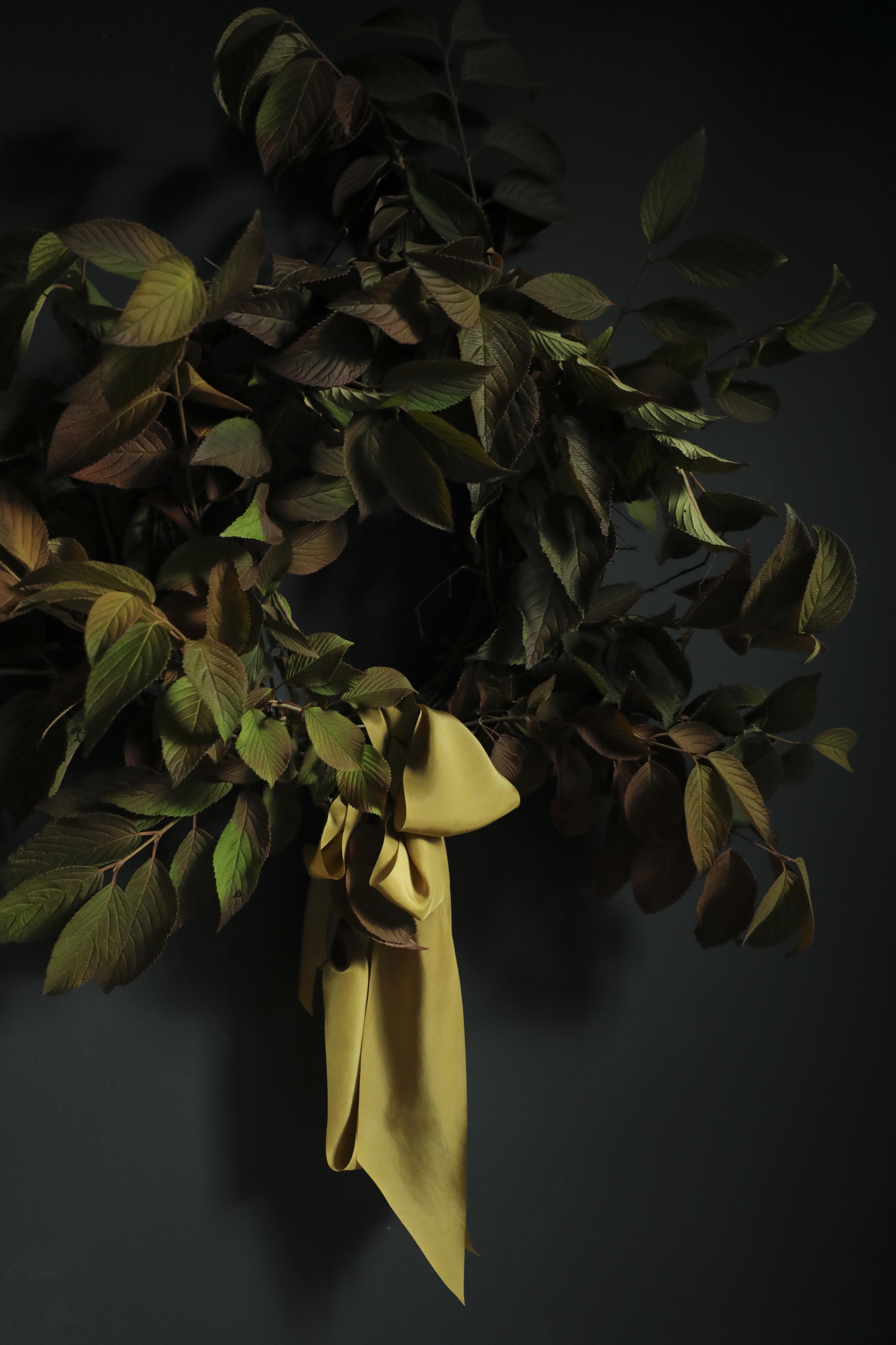 Bouquet of dried leaves with a yellow ribbon on a dark background