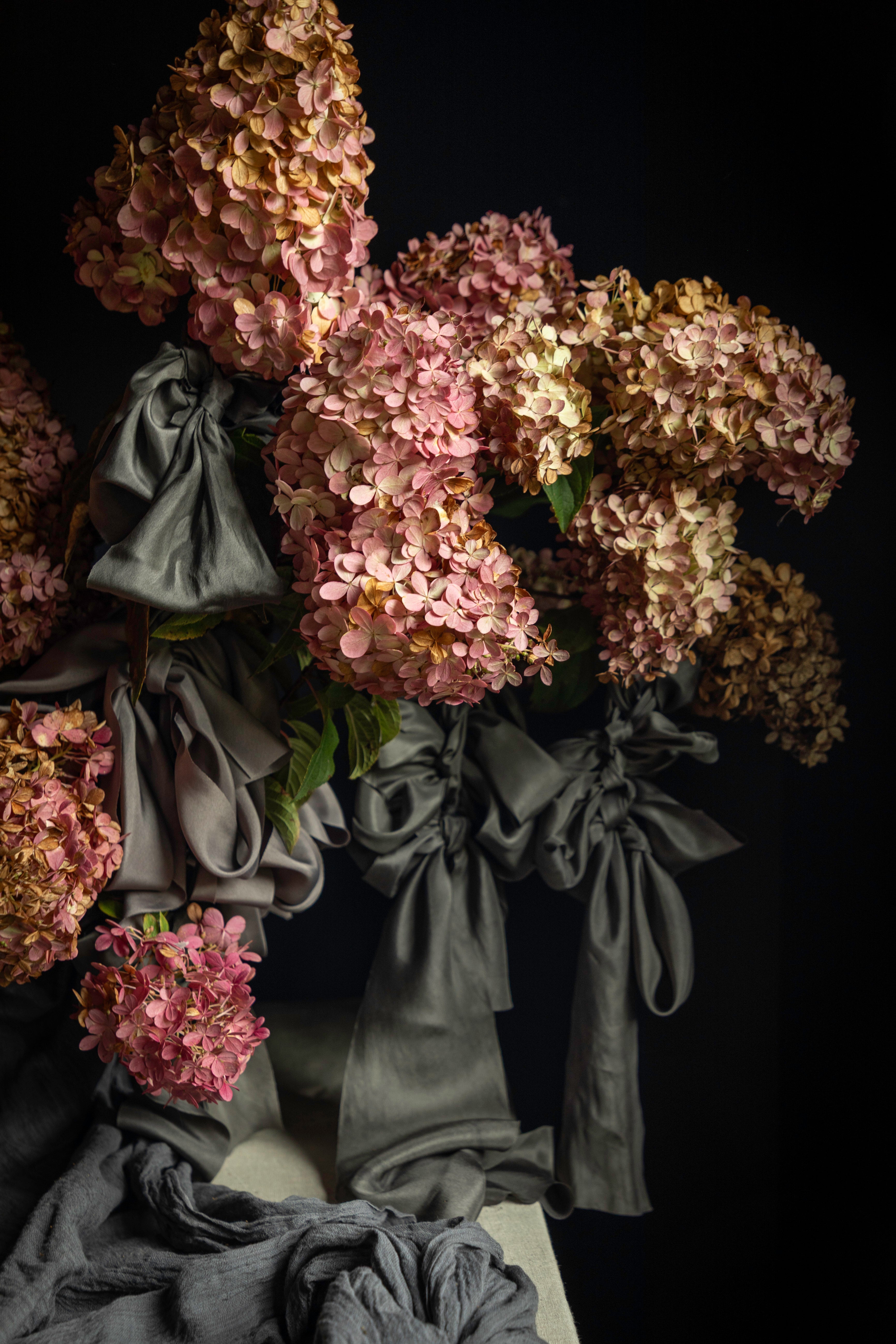 A bouquet of dried pink and cream hydrangeas tied with dark gray satin ribbons, set against a solid black background.