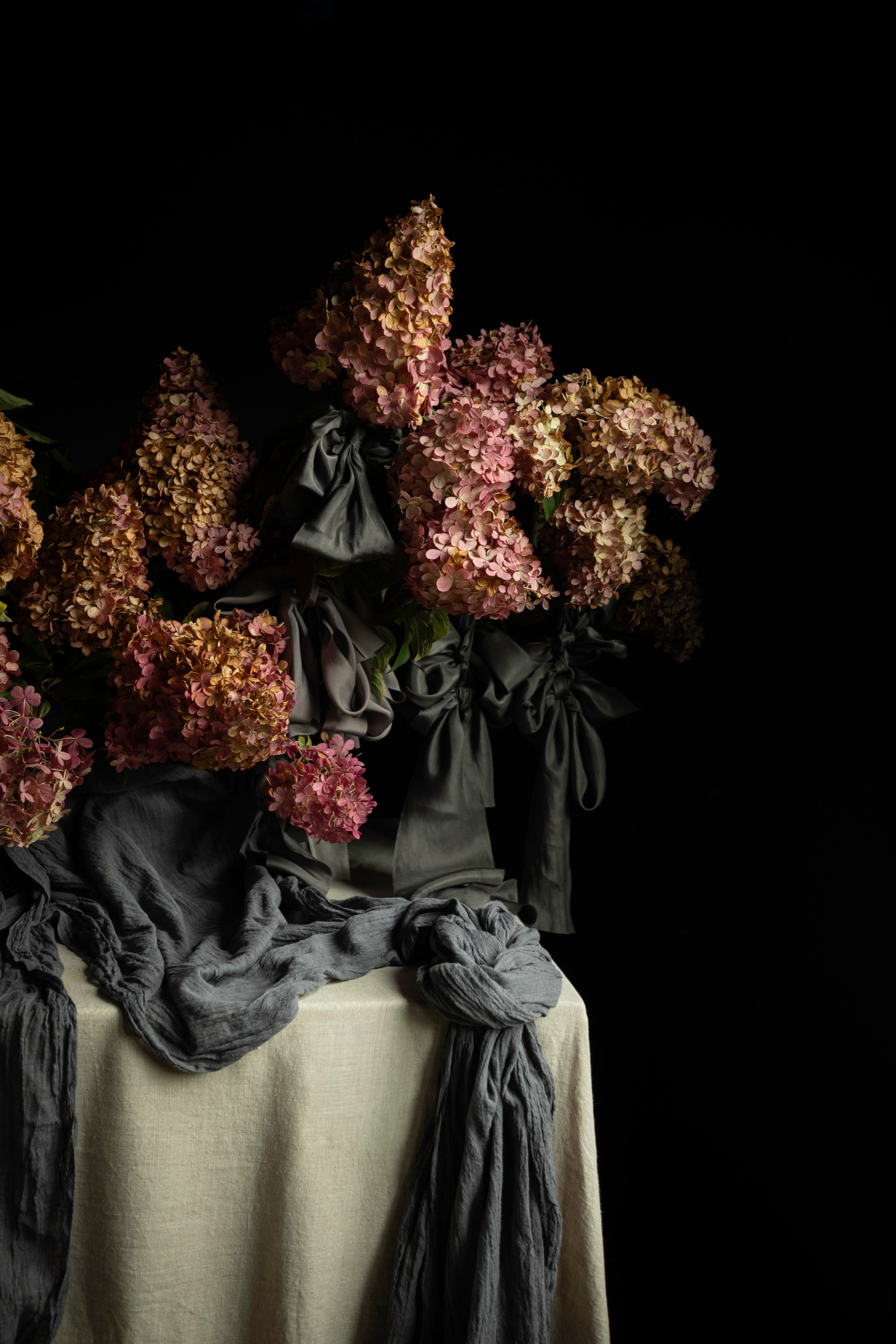 A still life arrangement of dried pink and mauve hydrangea flowers with dark gray fabric draping over a cream tablecloth against a solid black background.