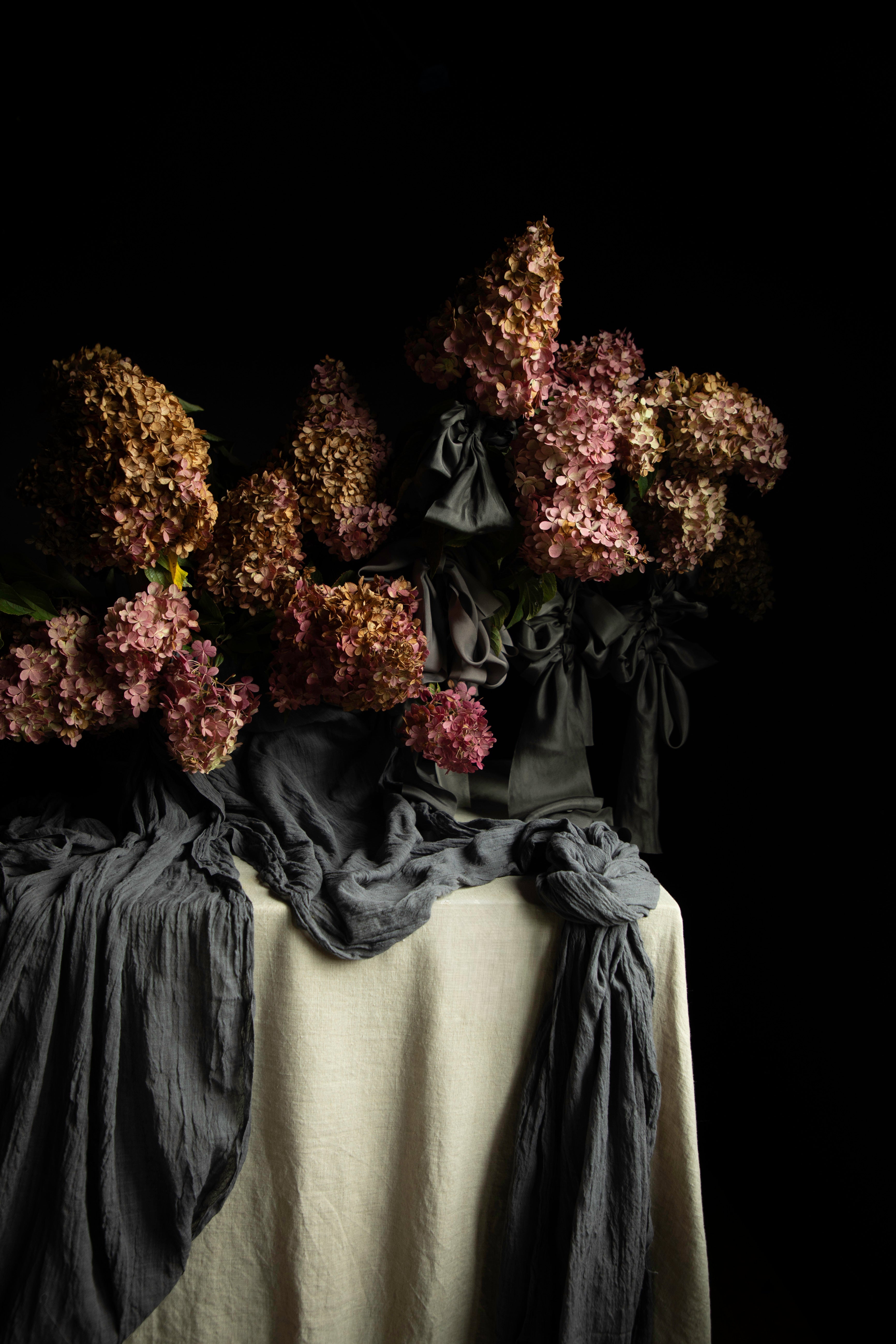 A still life arrangement of dried pink and bronze hydrangea blooms draped over a cream linen cloth with dark charcoal gray fabric, set against a solid black background.