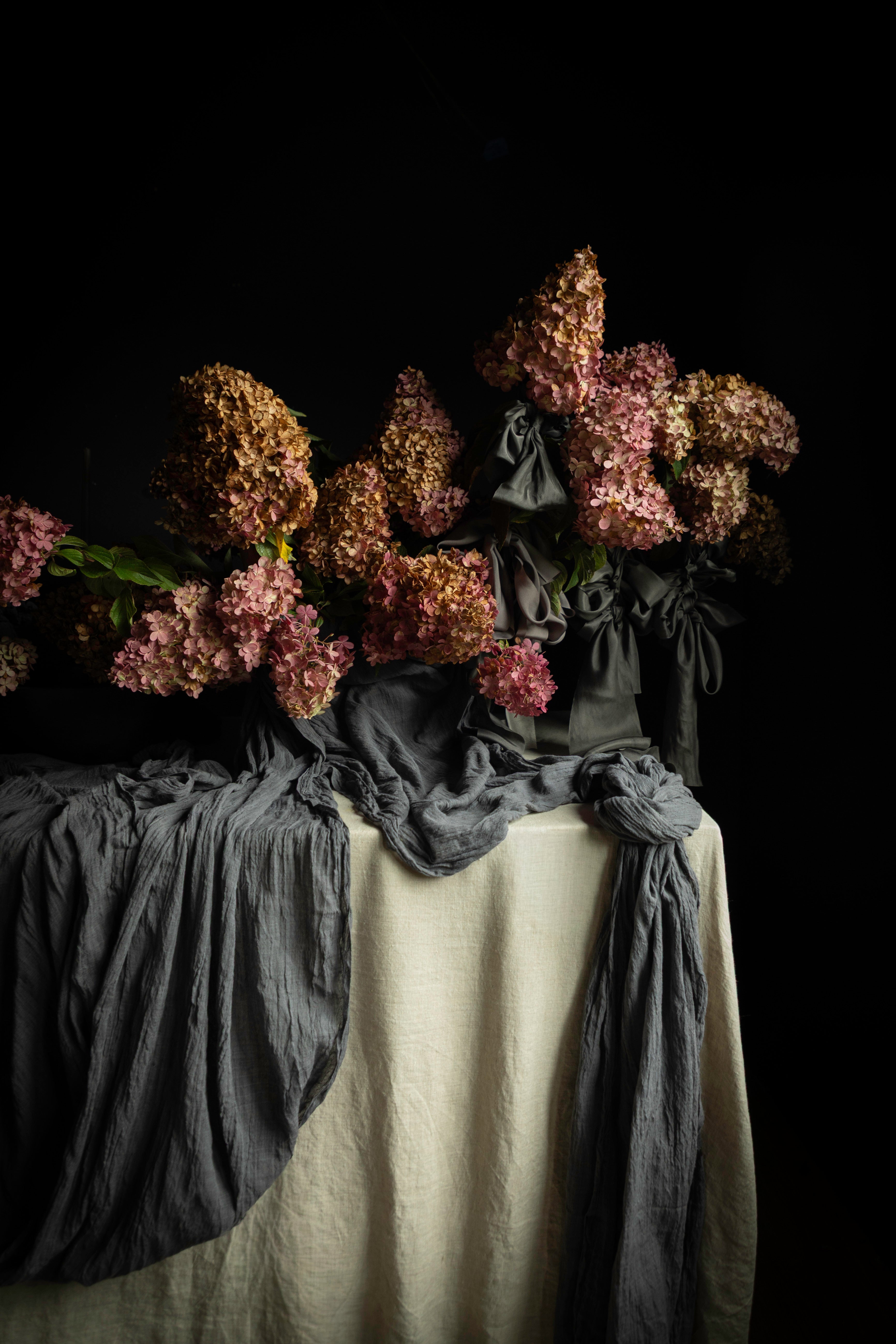 A still life arrangement of dried pink and brown hydrangea-like flowers draped over dark gray and cream fabric against a solid black background.