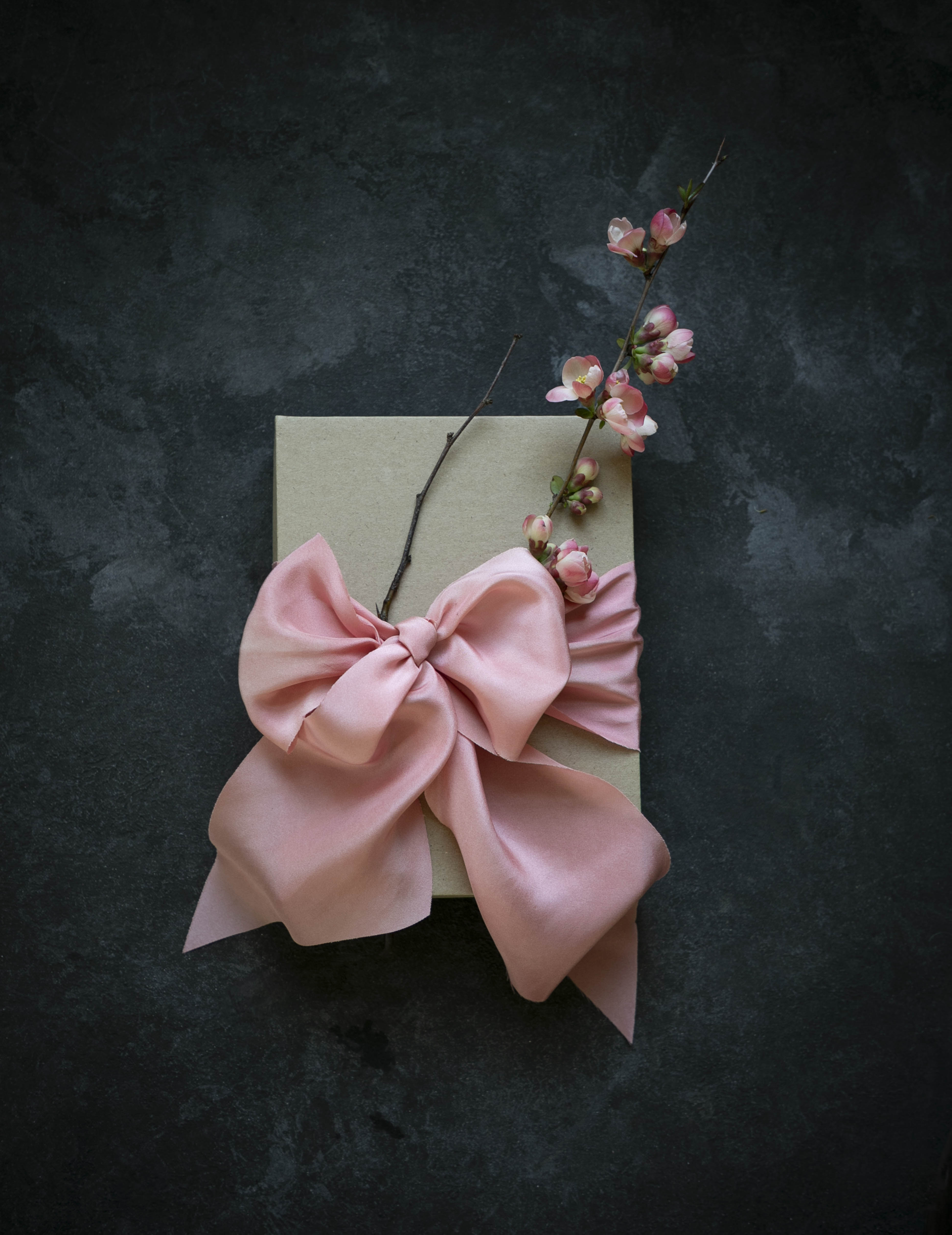 Pink bow and floral branch on a dark textured background