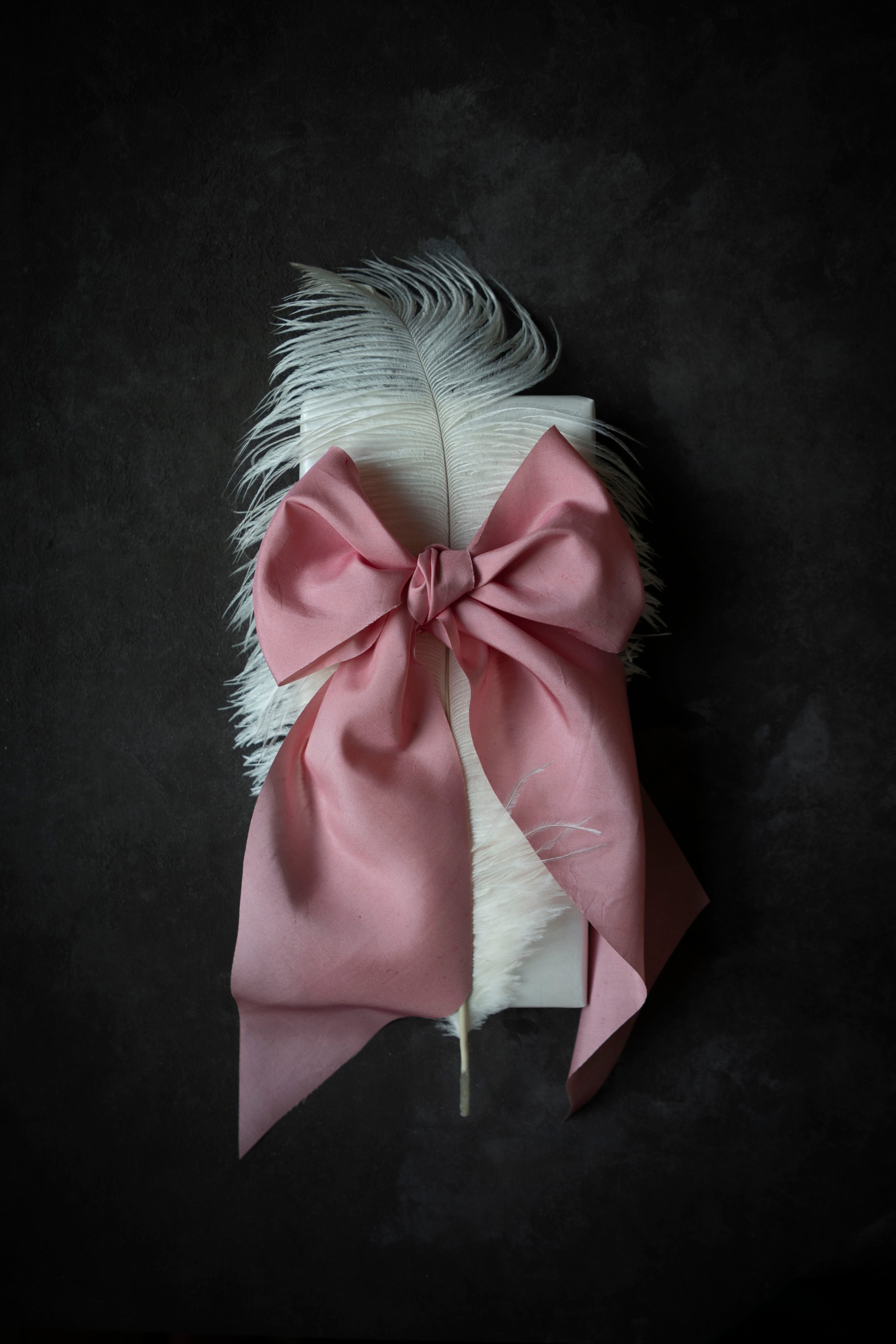 Sweetheart Pink bow with white feathers on a dark background