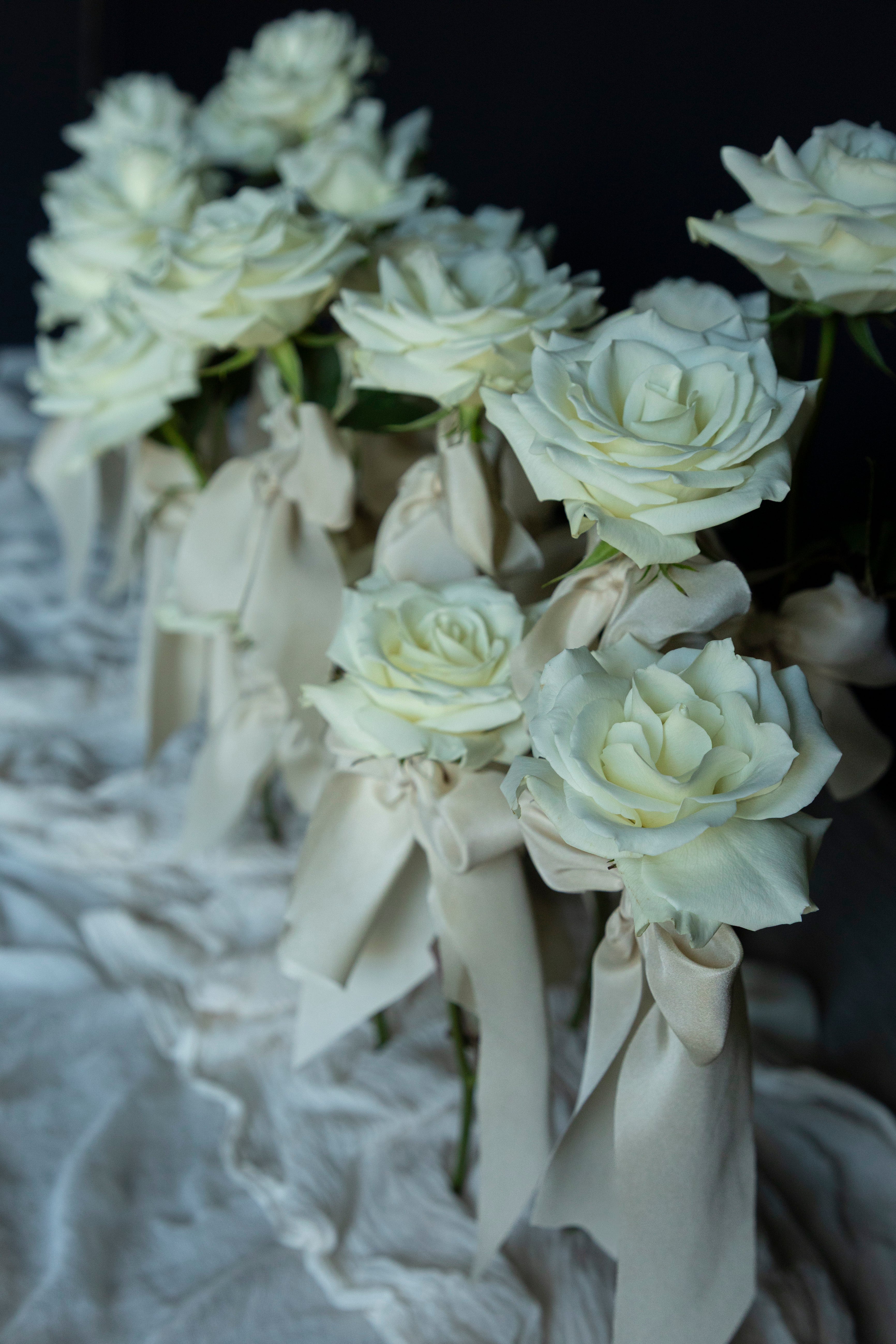 white roses and silk ribbons