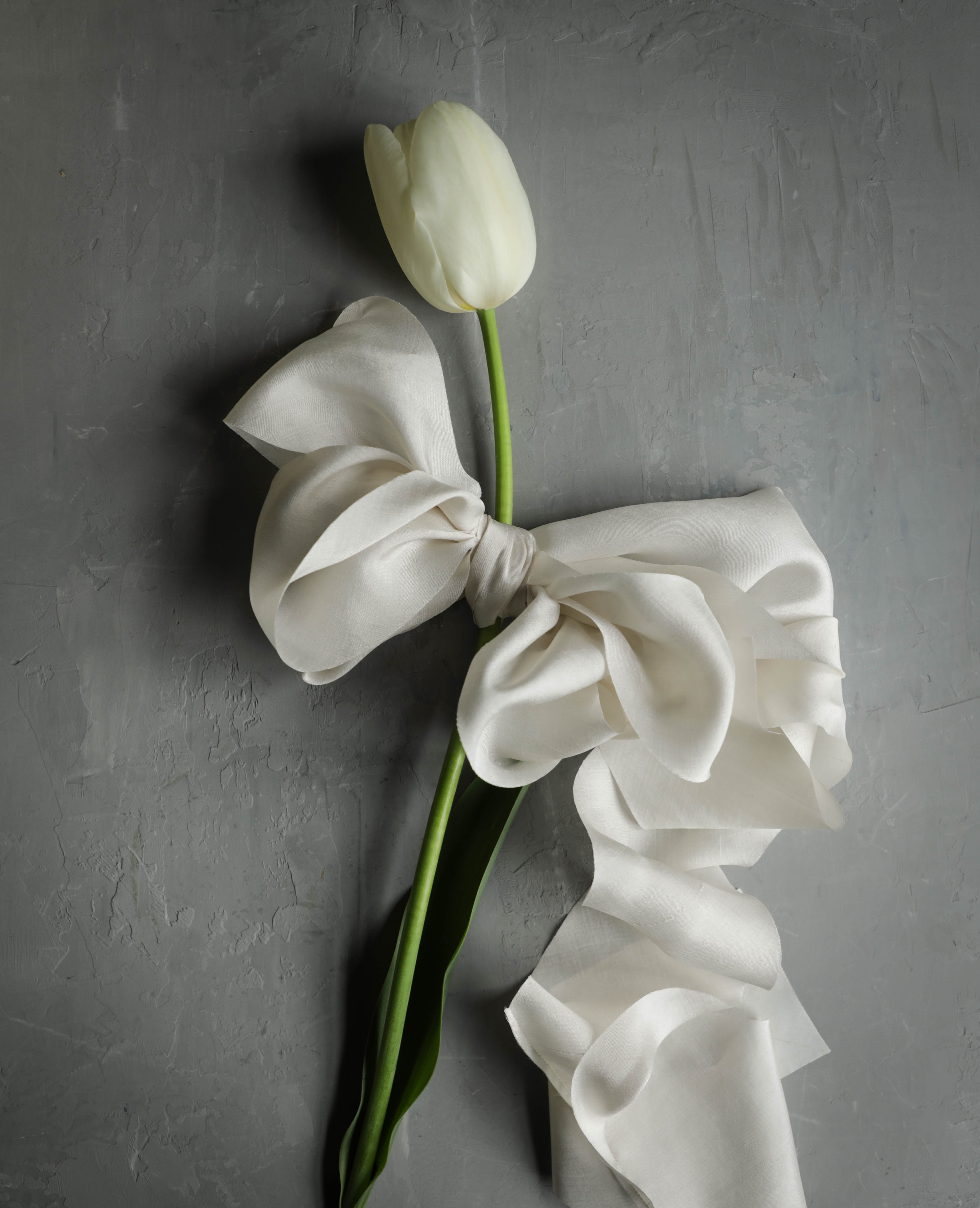 white tulip with silk and willow silk ribbon