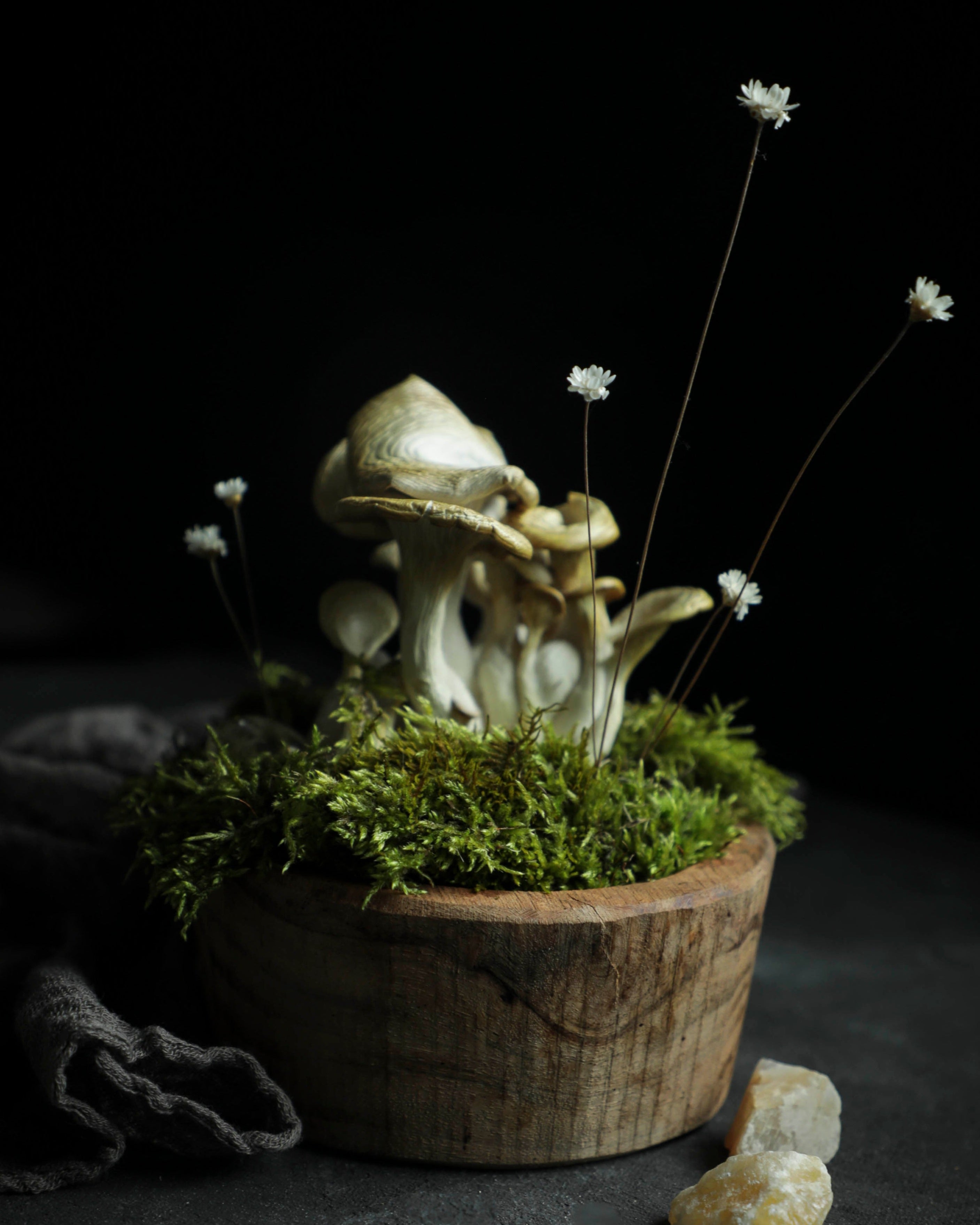 fungi art, wooden bowl with moss and mushrooms