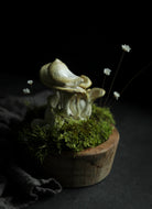 fungi mushroom art. how to make a fairy garden